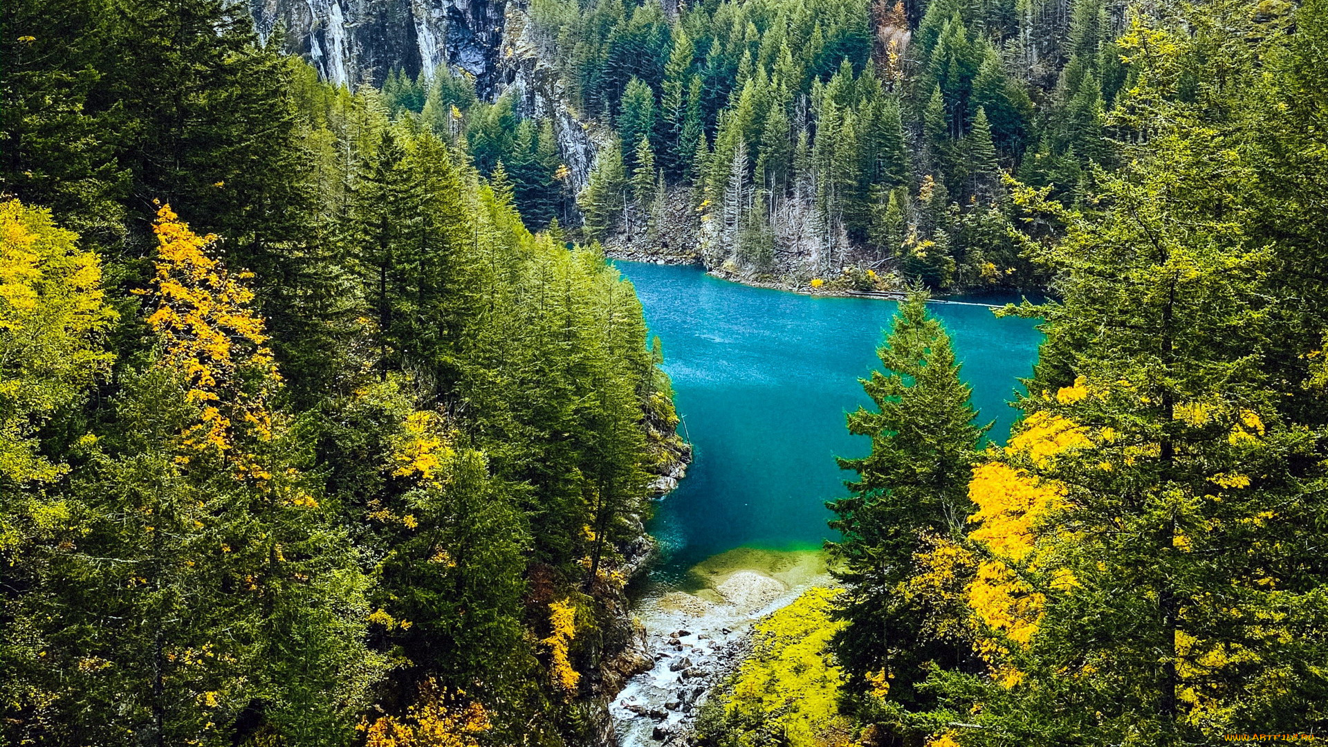 природа, реки, озера, река, деревья, осень