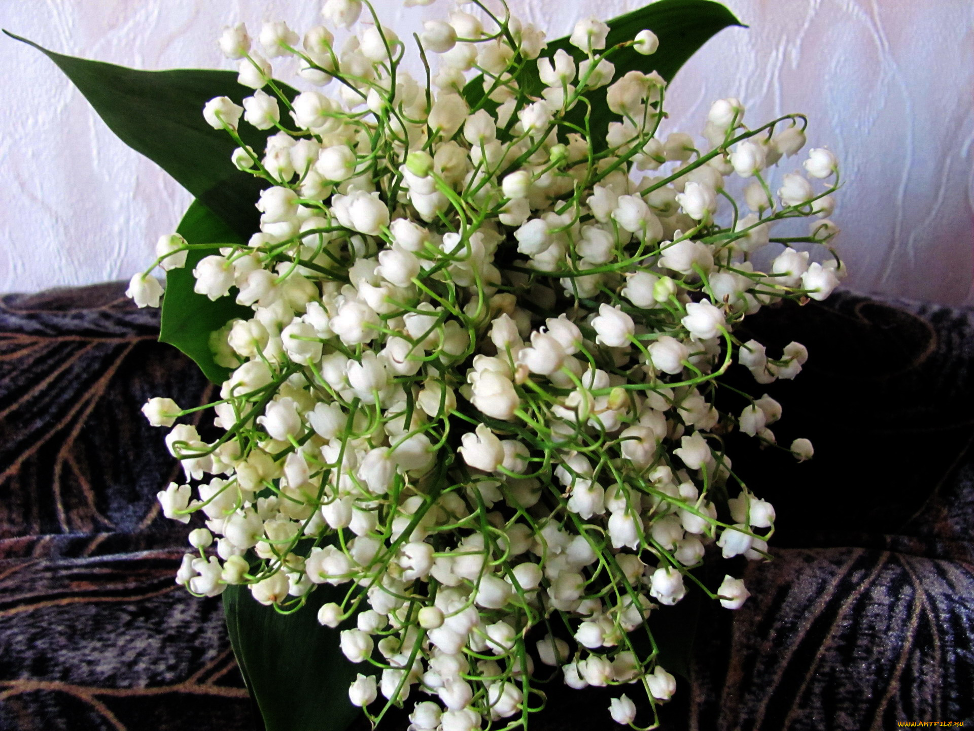 цветы, ландыши, белый