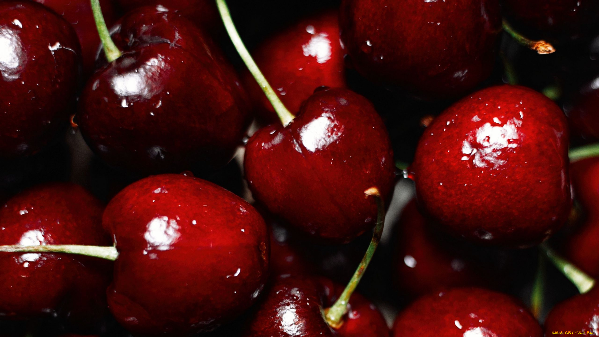 еда, вишня, , черешня, черешня