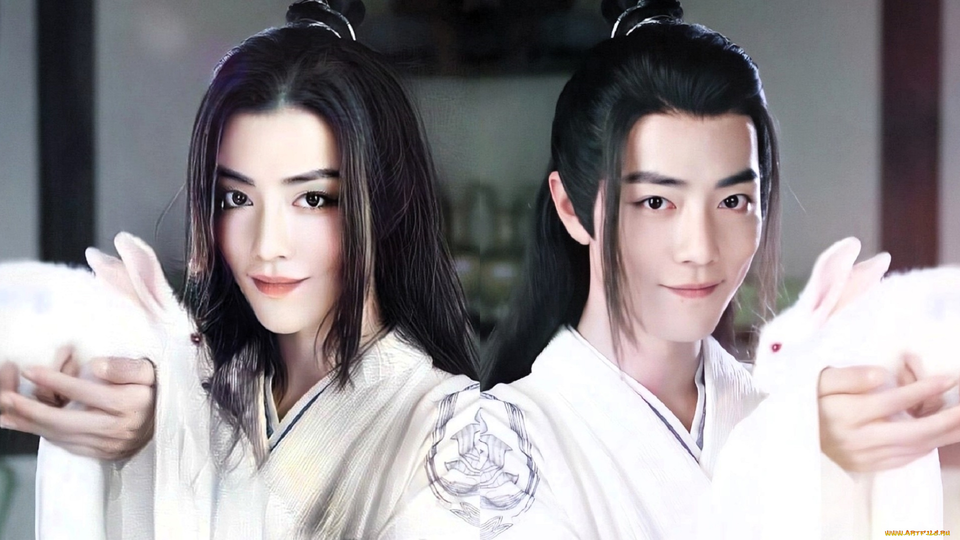 разное, компьютерный, дизайн, вэй, усянь, девушка, кролики, близнецы