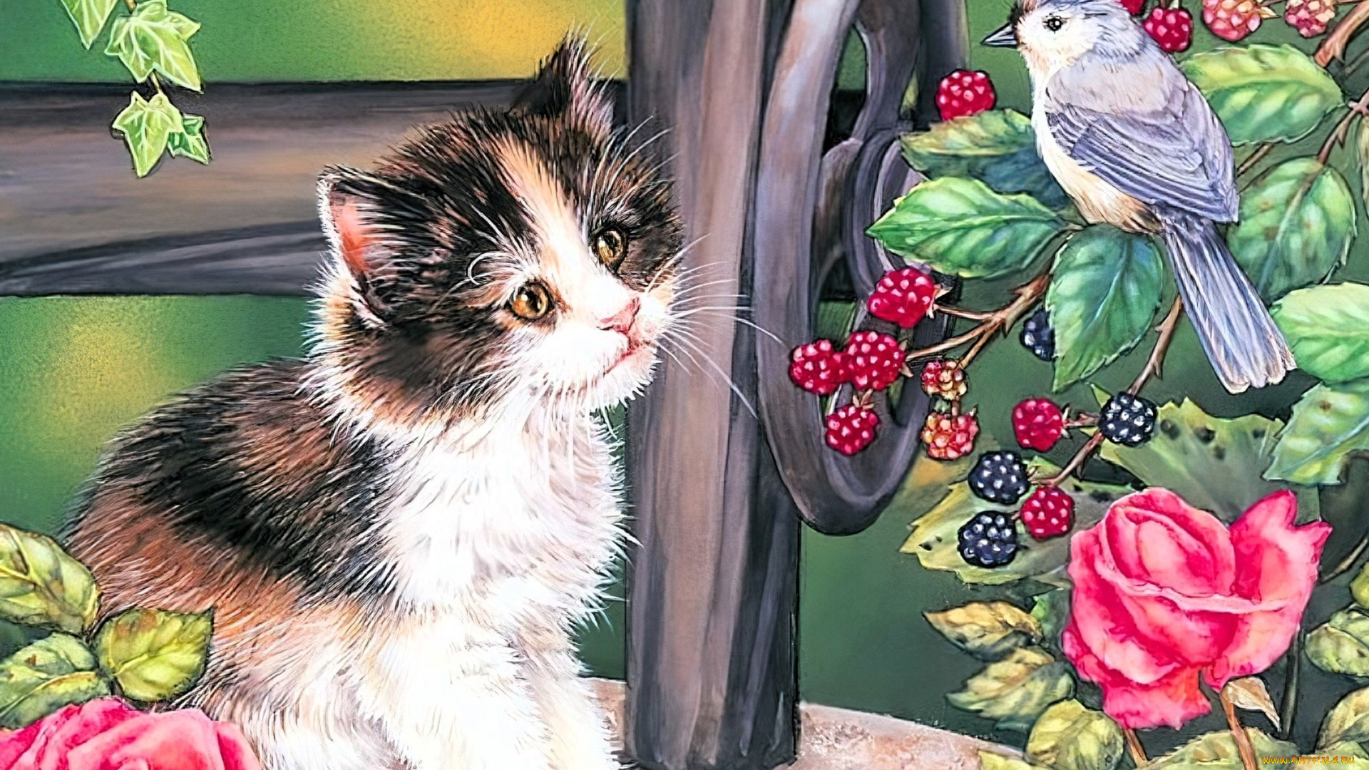 рисованное, животные, , коты, котенок, птица, ежевика, цветы