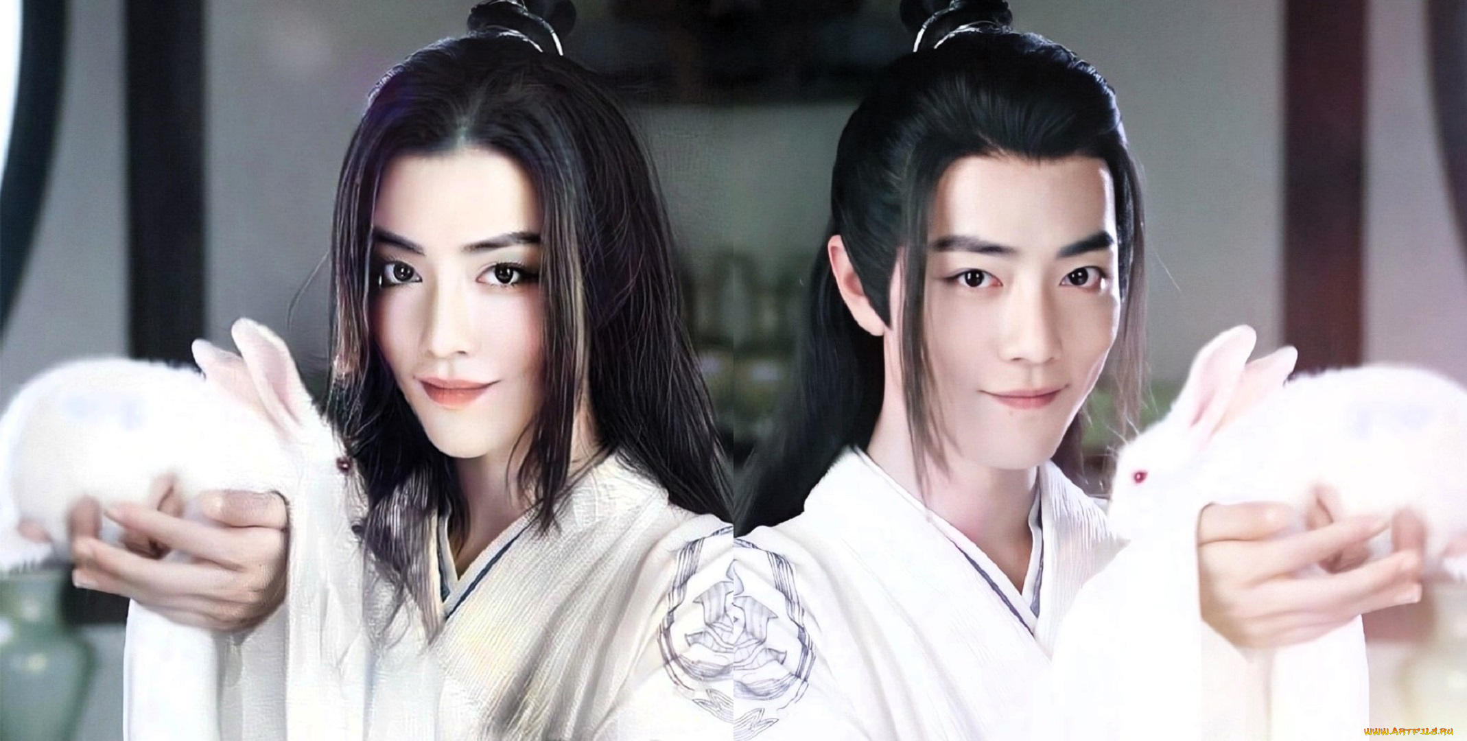 разное, компьютерный, дизайн, вэй, усянь, девушка, кролики, близнецы