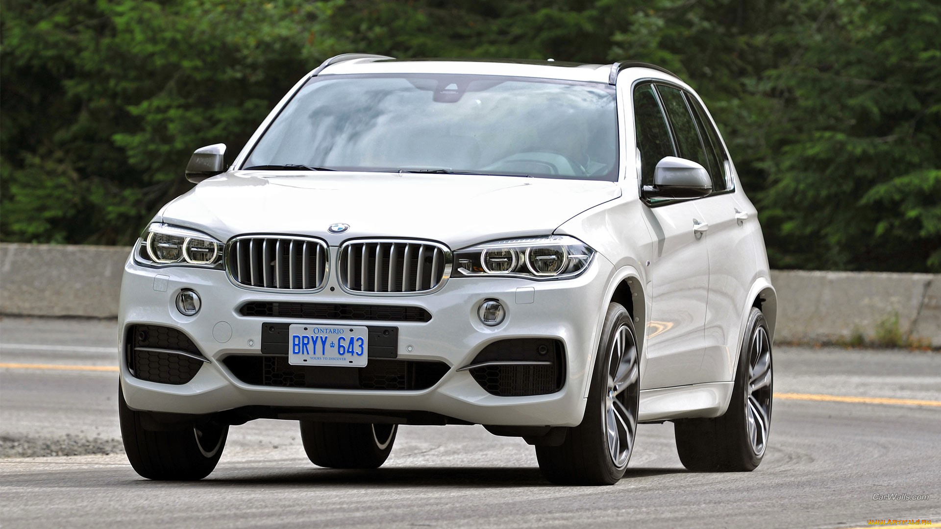 bmw, x5, автомобили, bmw, белый, дорога, лес