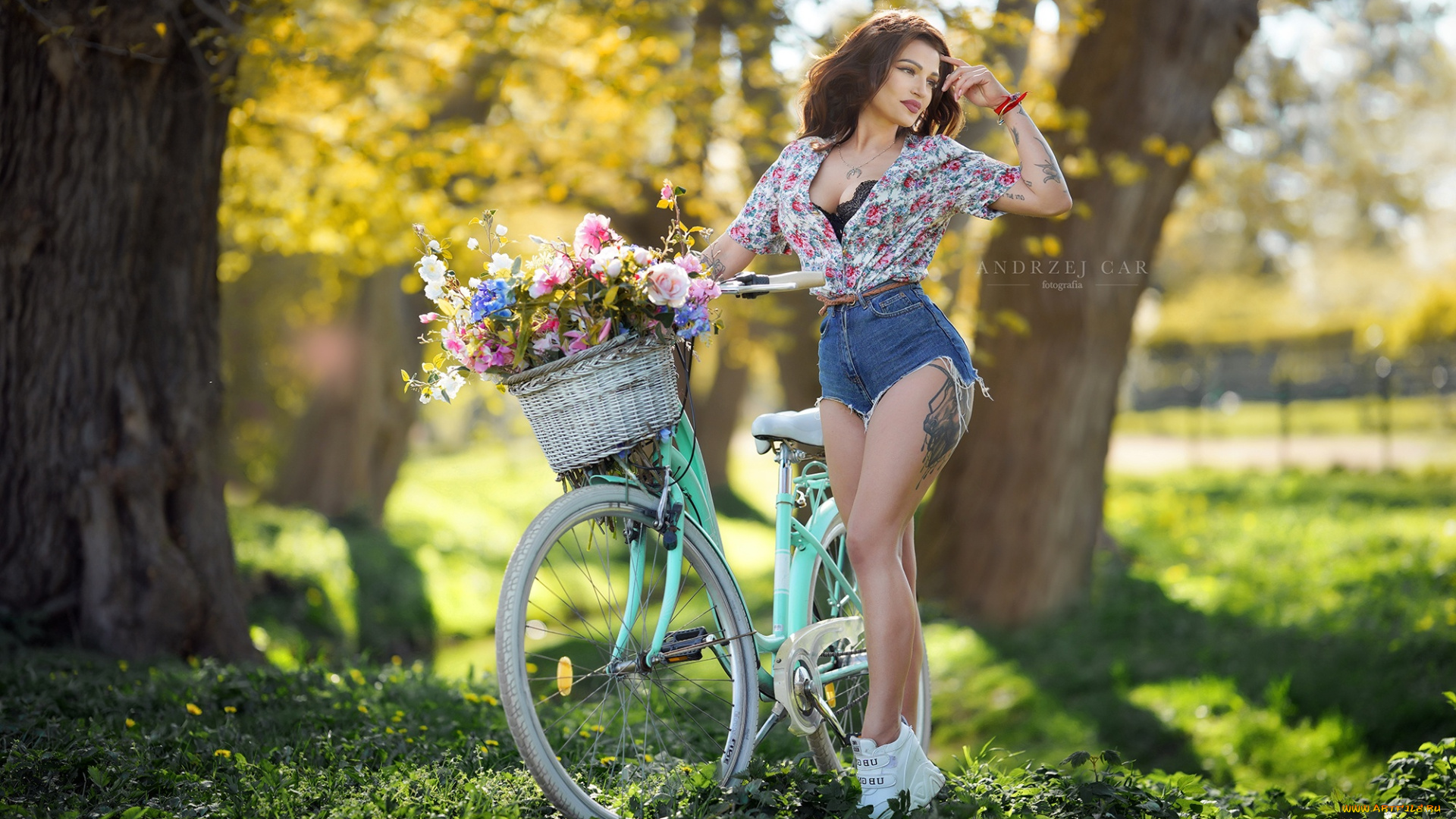 девушки, -, брюнетки, , шатенки, девушка