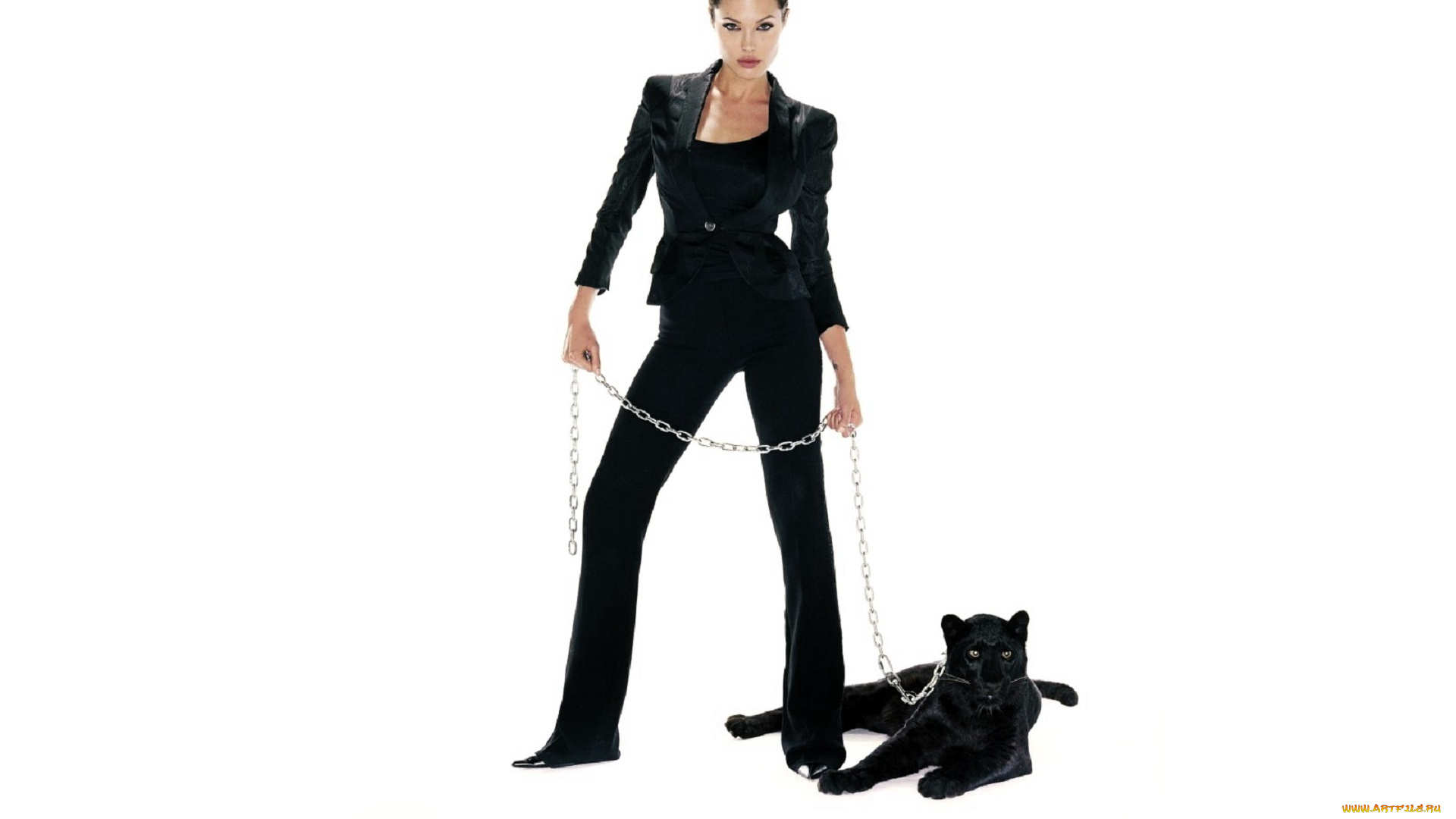 девушки, angelina, jolie, актриса, костюм, жакет, брюки, цепь, пантера