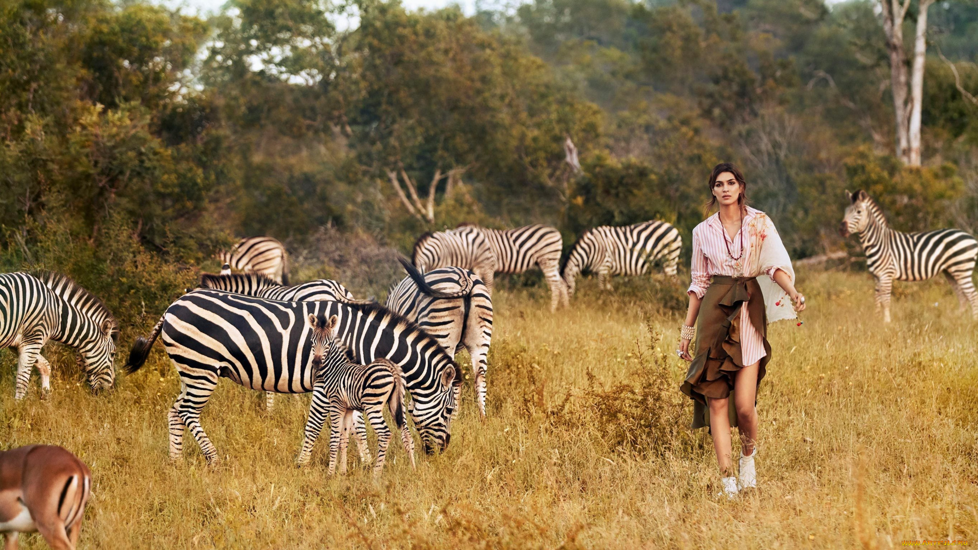 kriti, sanon, девушки, девушка