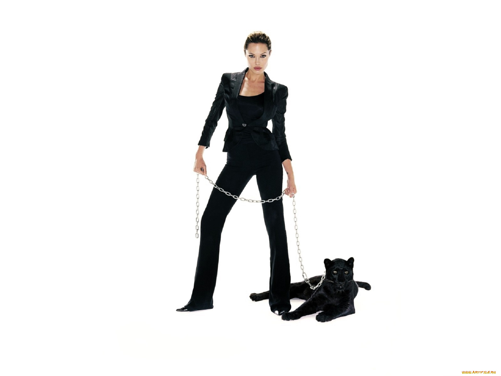 девушки, angelina, jolie, актриса, костюм, жакет, брюки, цепь, пантера