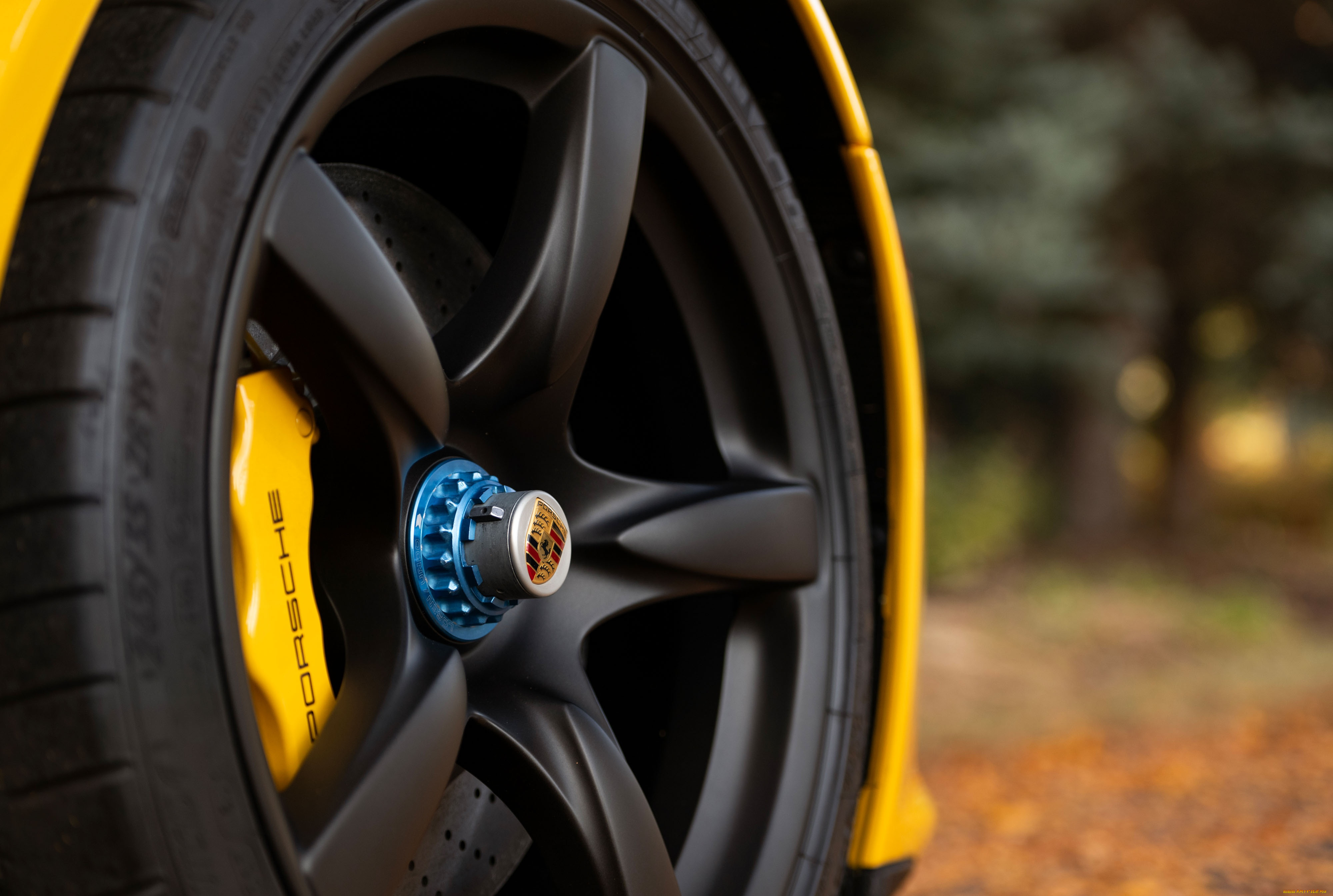 автомобили, диски, колесо, porsche