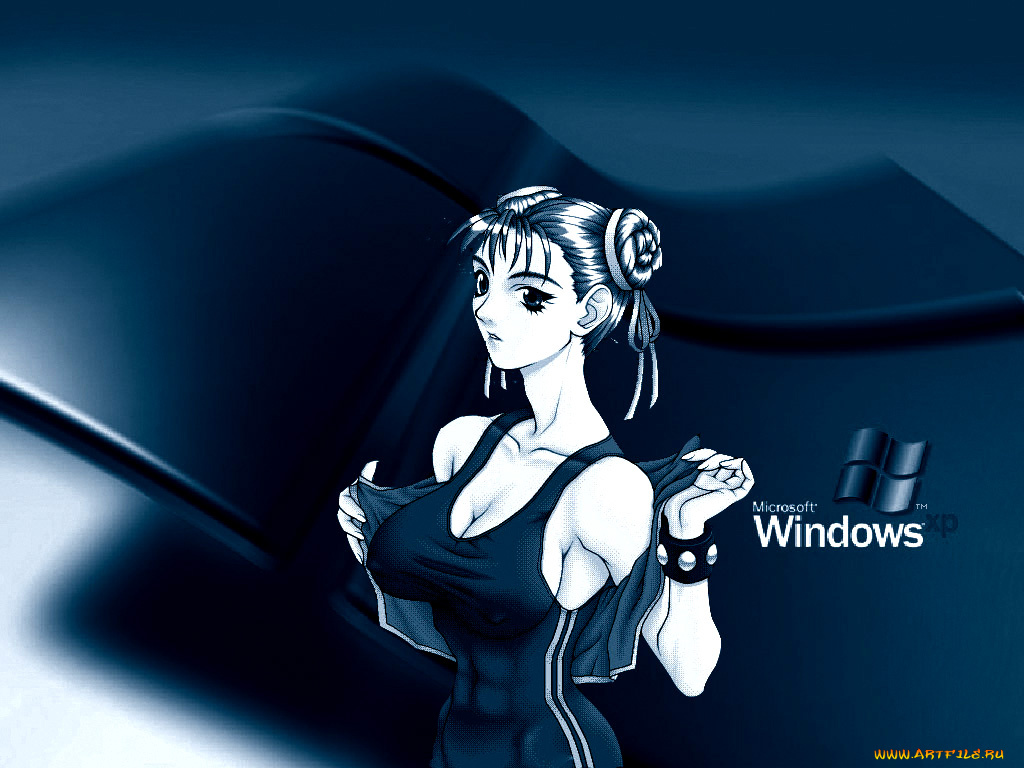 компьютеры, windows, xp