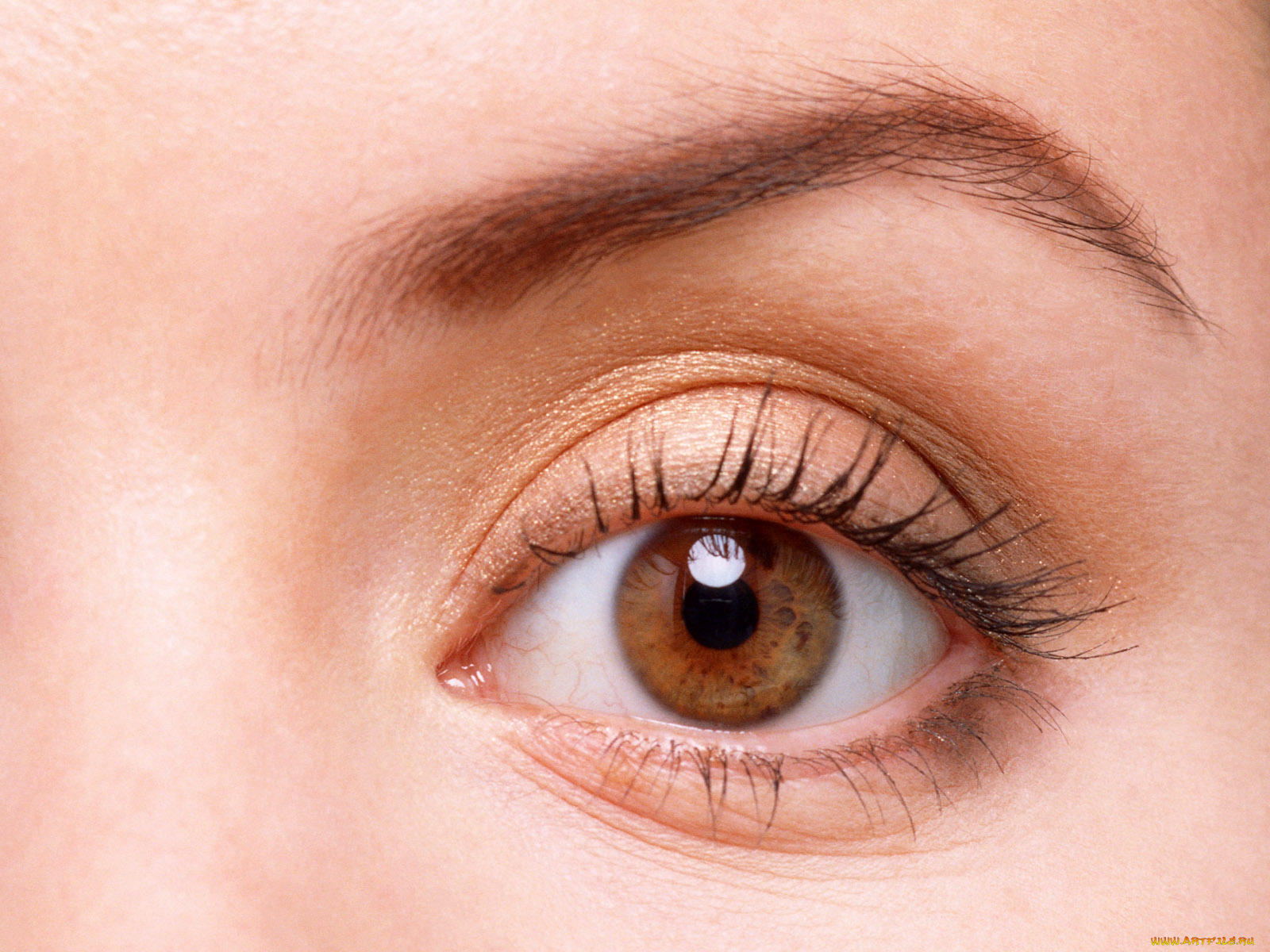 разное, глаза