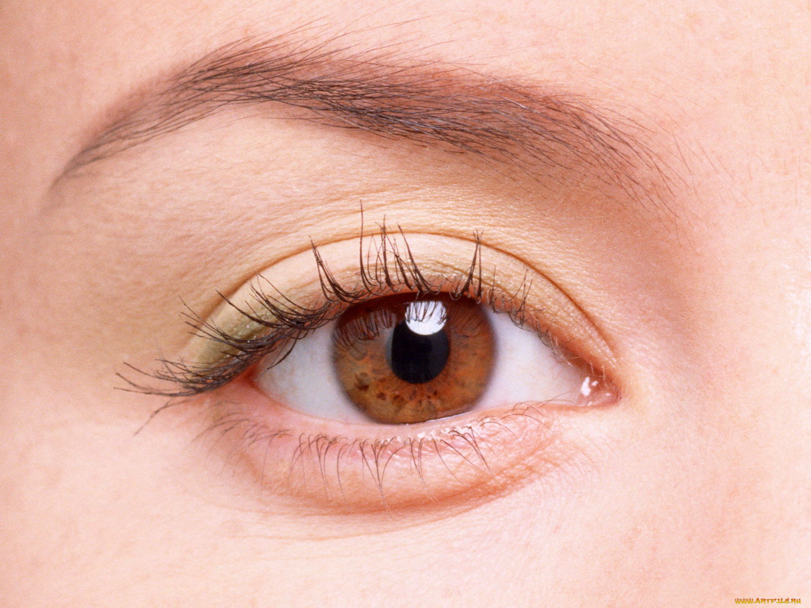 разное, глаза