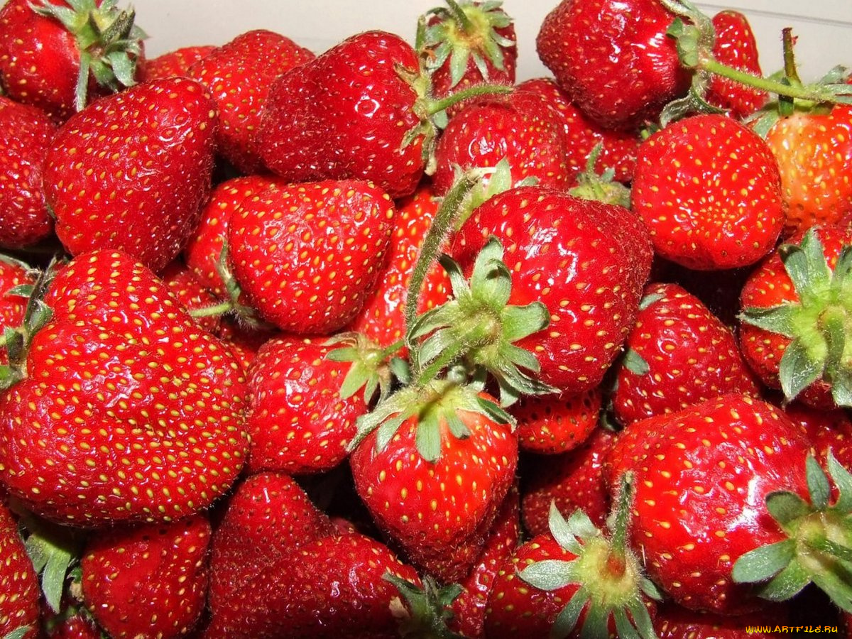 еда, клубника, земляника