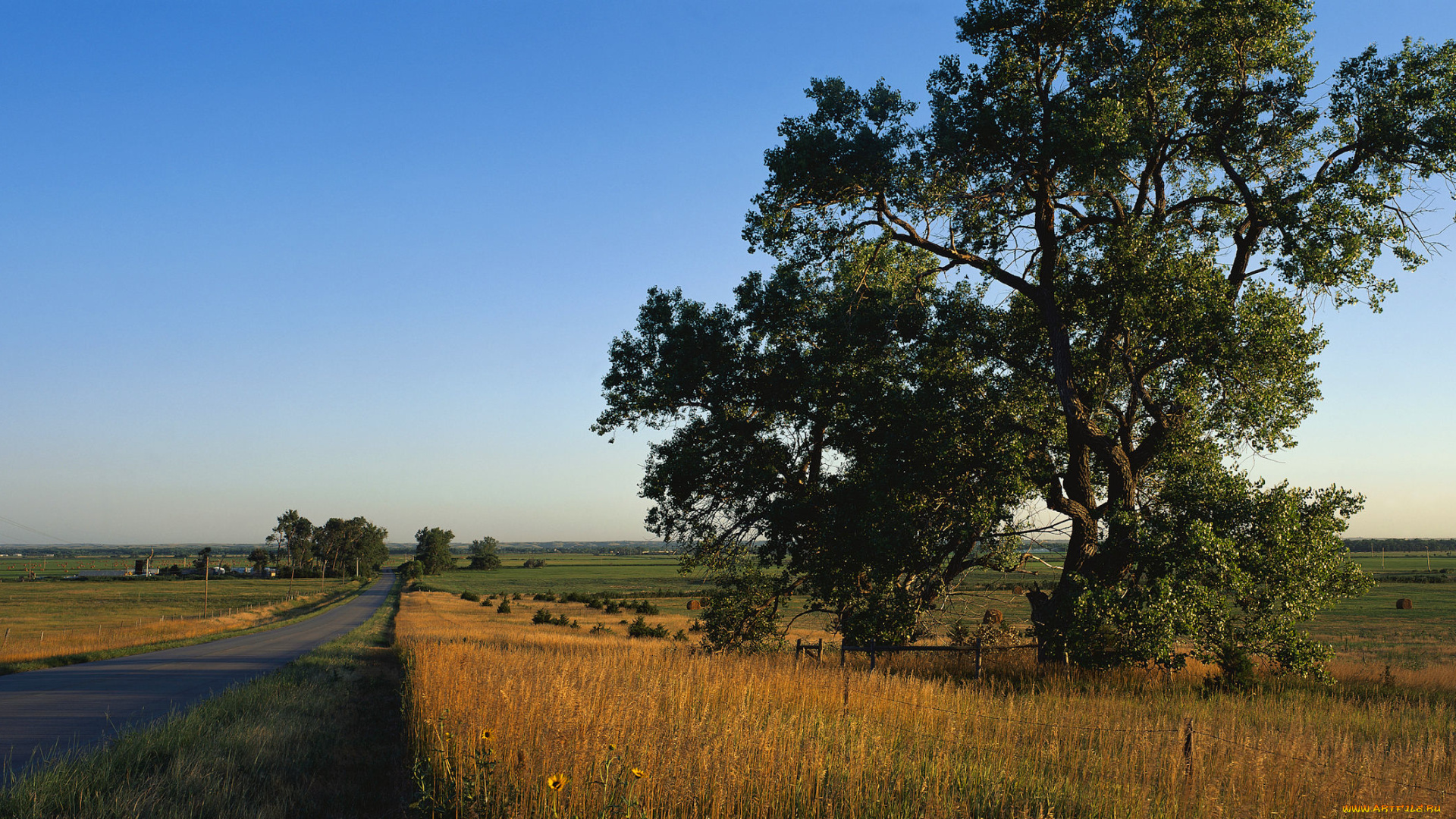 природа, дороги