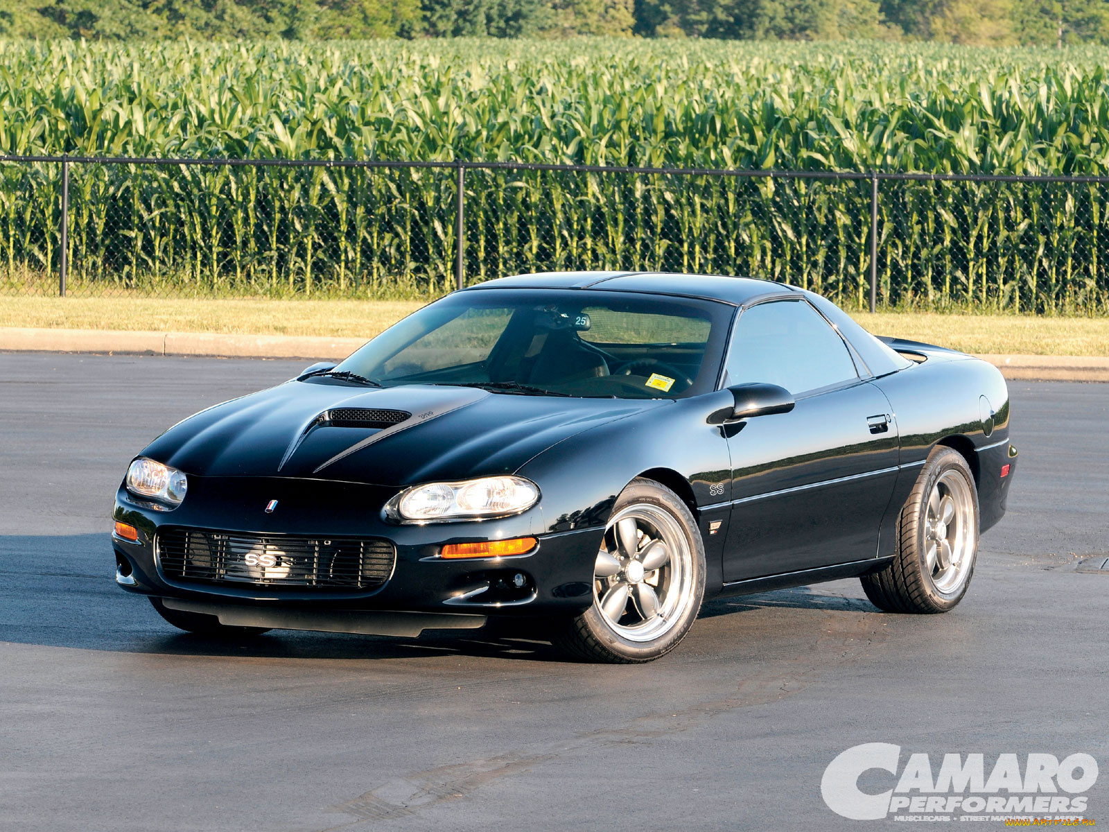 автомобили, camaro