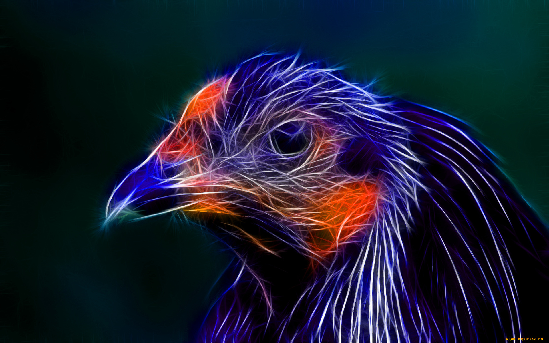 3д, графика, animals, животные, птица, фрактал