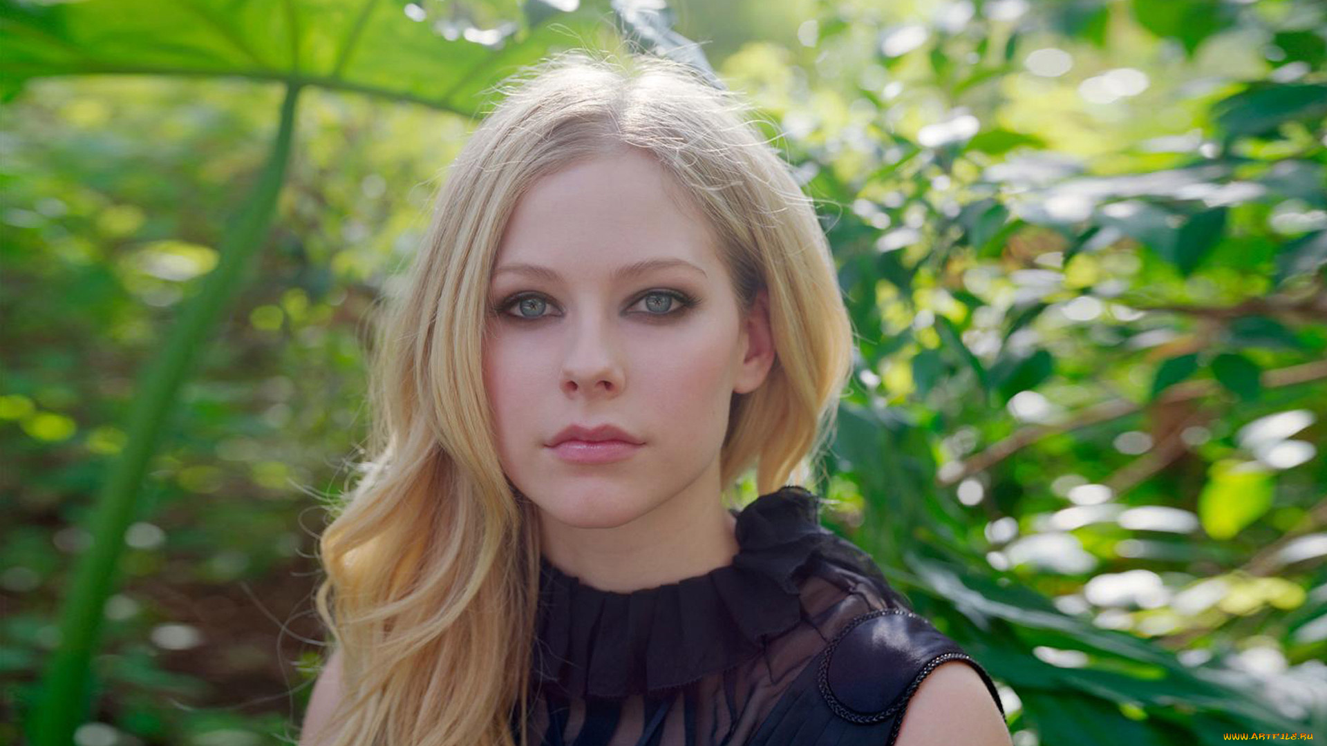 музыка, avril, lavigne, взгляд