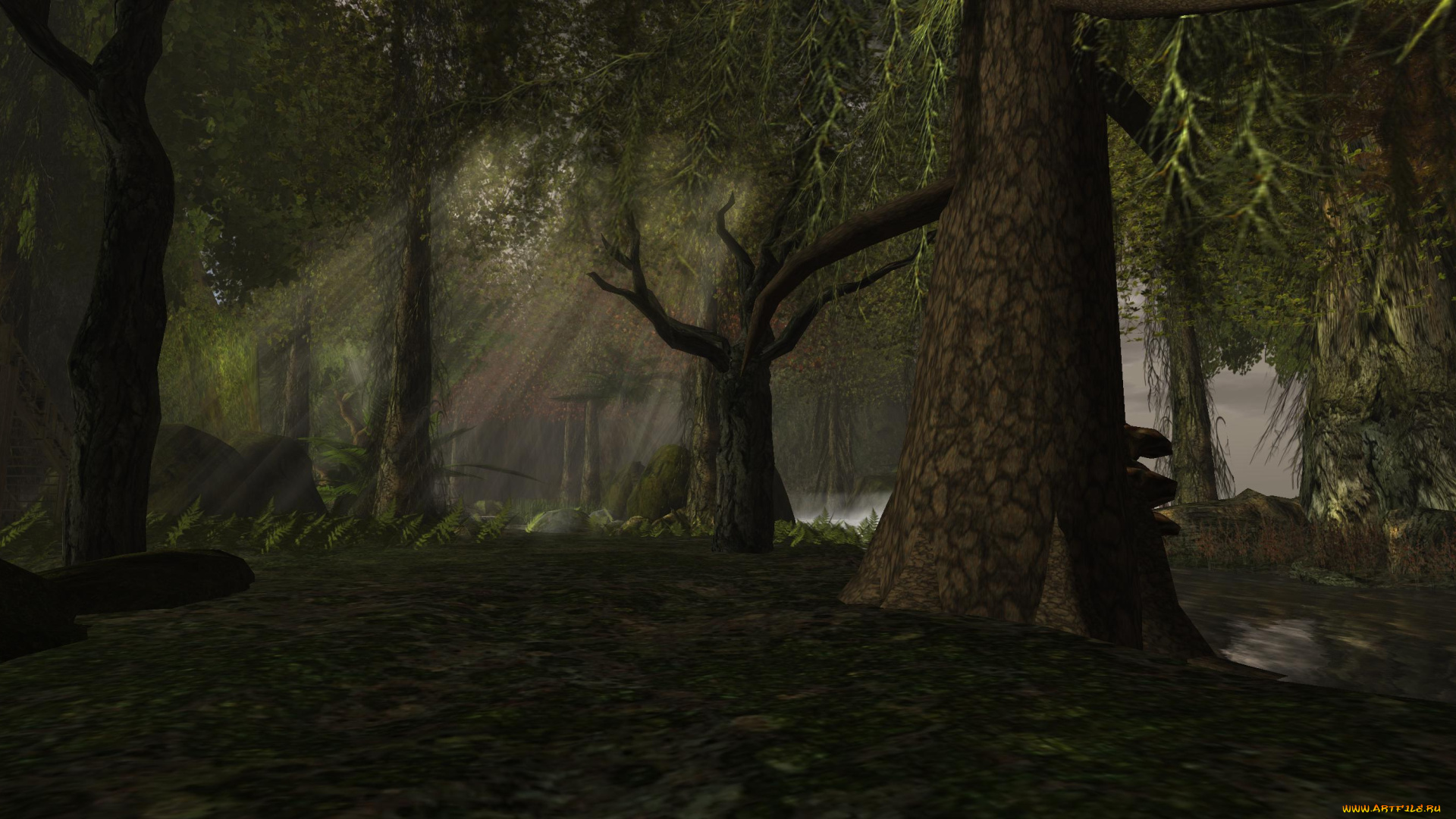 3д, графика, nature, landscape, , природа, лес, деревья