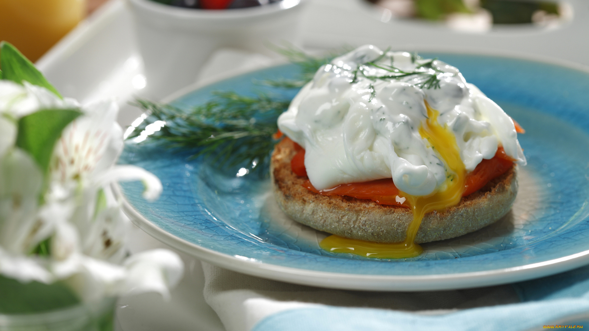 еда, блины, , оладьи, фон, тарелка, сметана, оладьи, зелень, соус