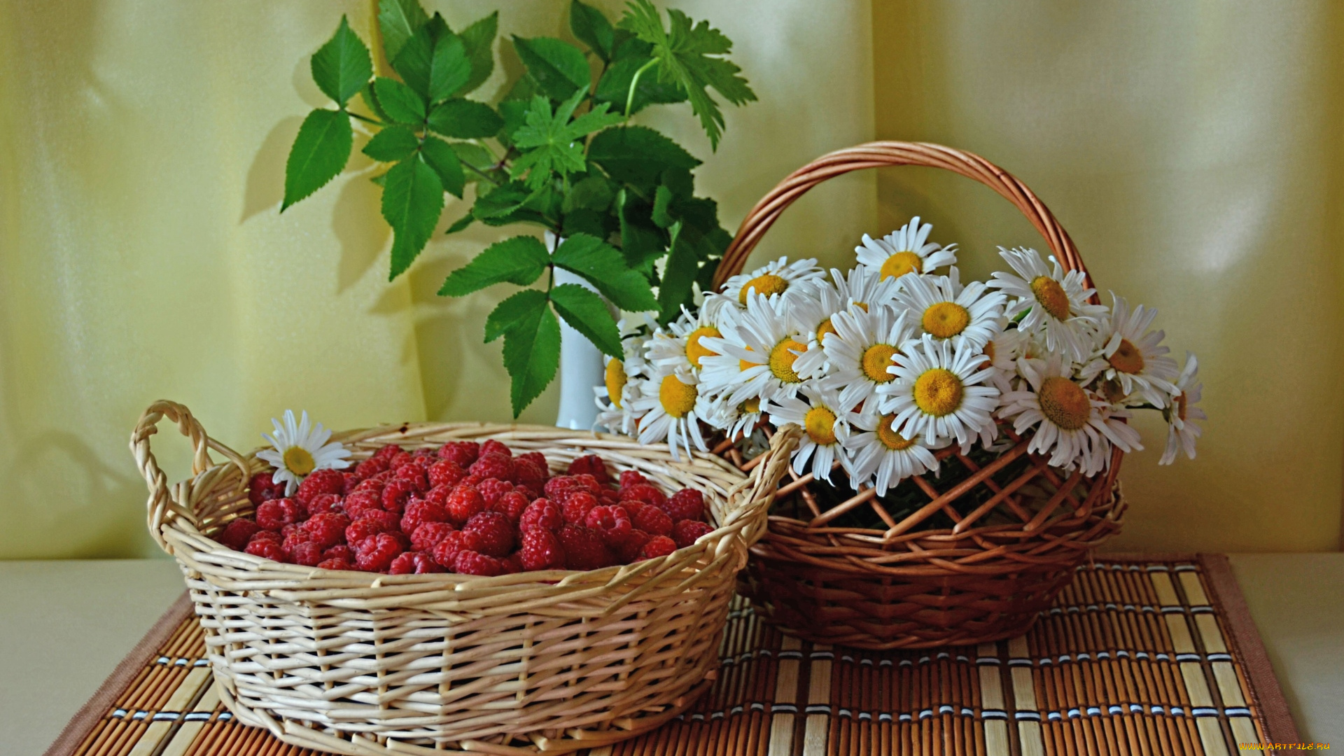 еда, малина, ромашки, корзинки