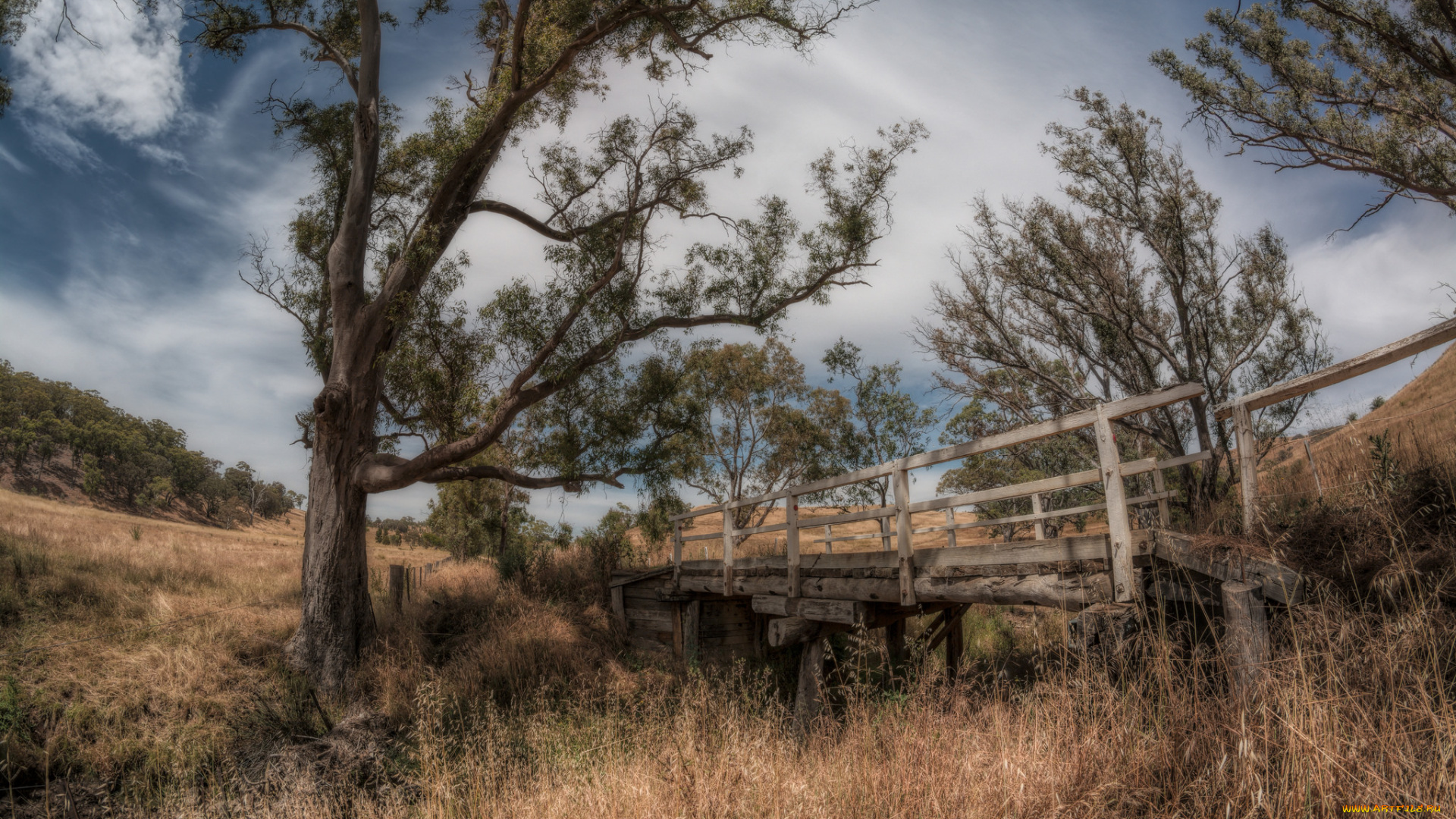 природа, пейзажи, поле, овраг, мостик, трава, деревья