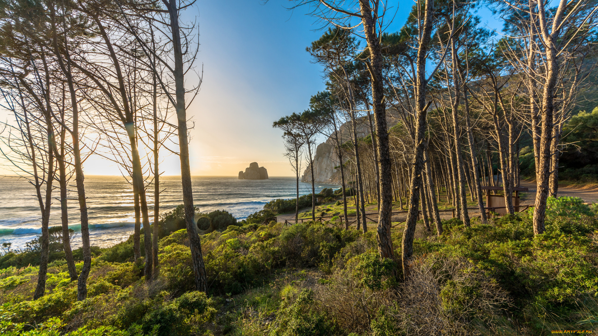 природа, побережье, океан, берег, скалы, деревья, горизонт, свет