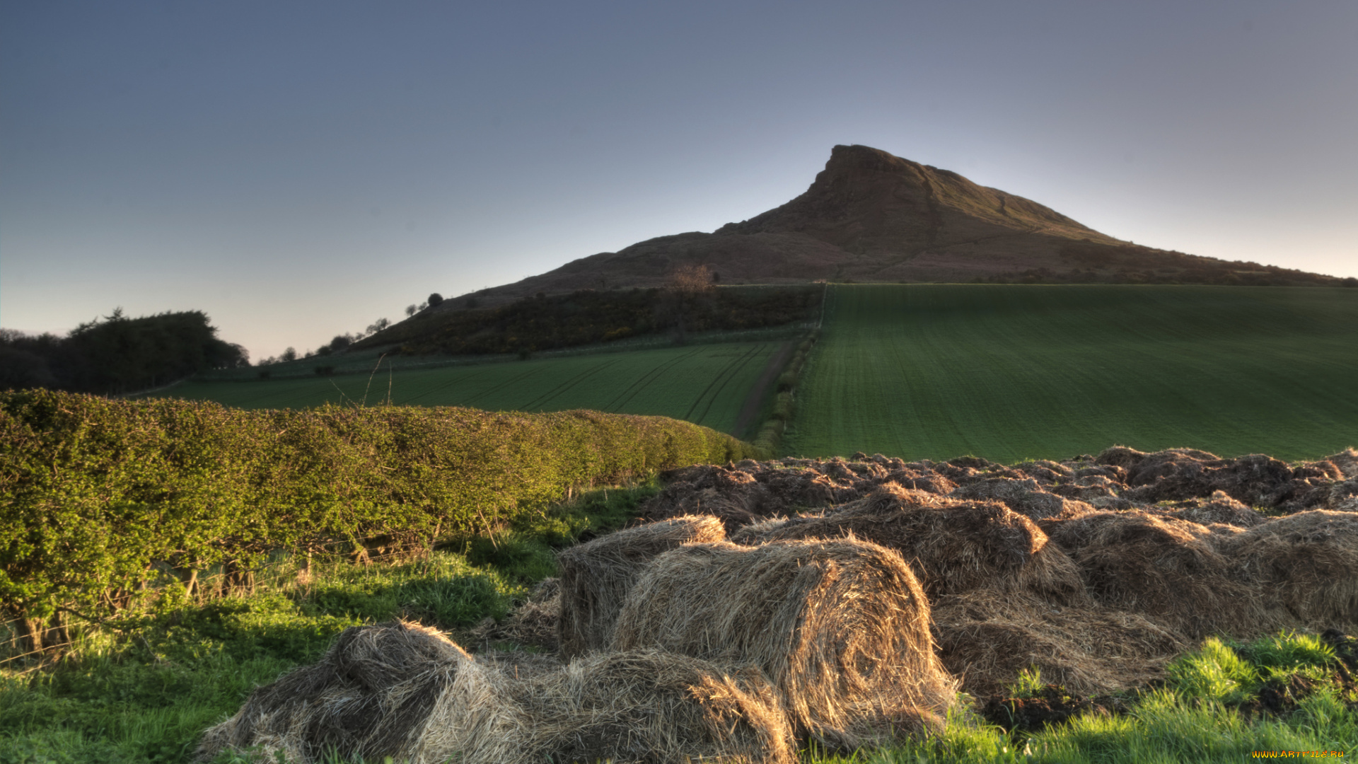 природа, поля, поле, сено, гора