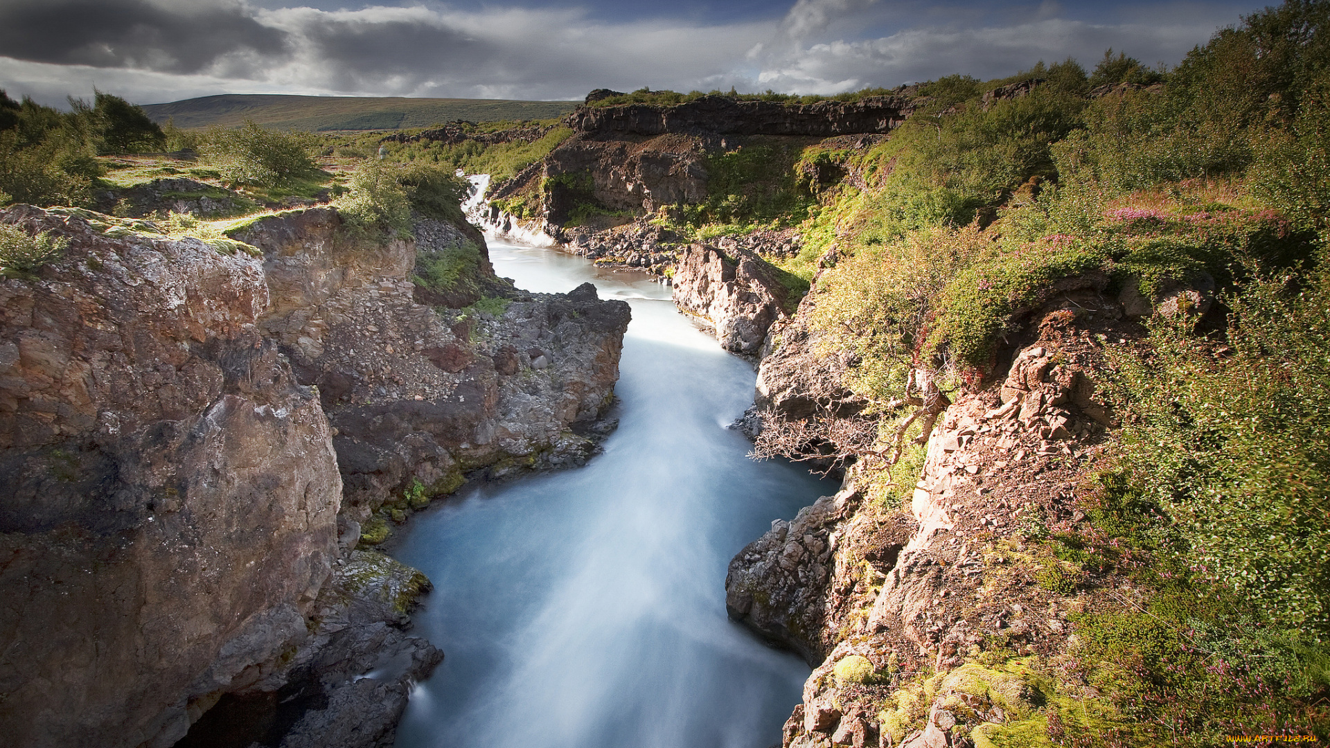 природа, реки, озера, речка, овраг