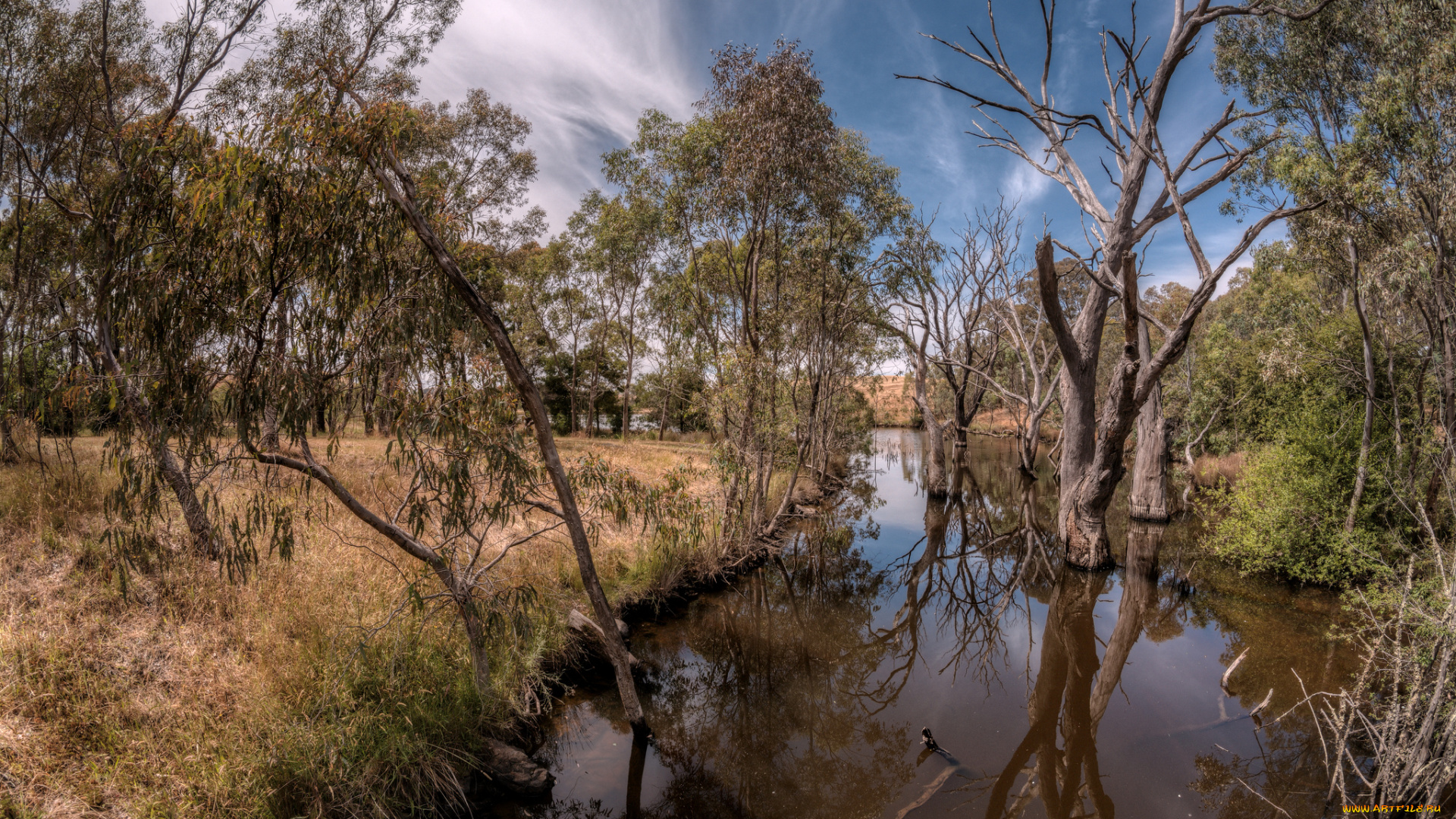 природа, реки, озера, река, деревья, трава