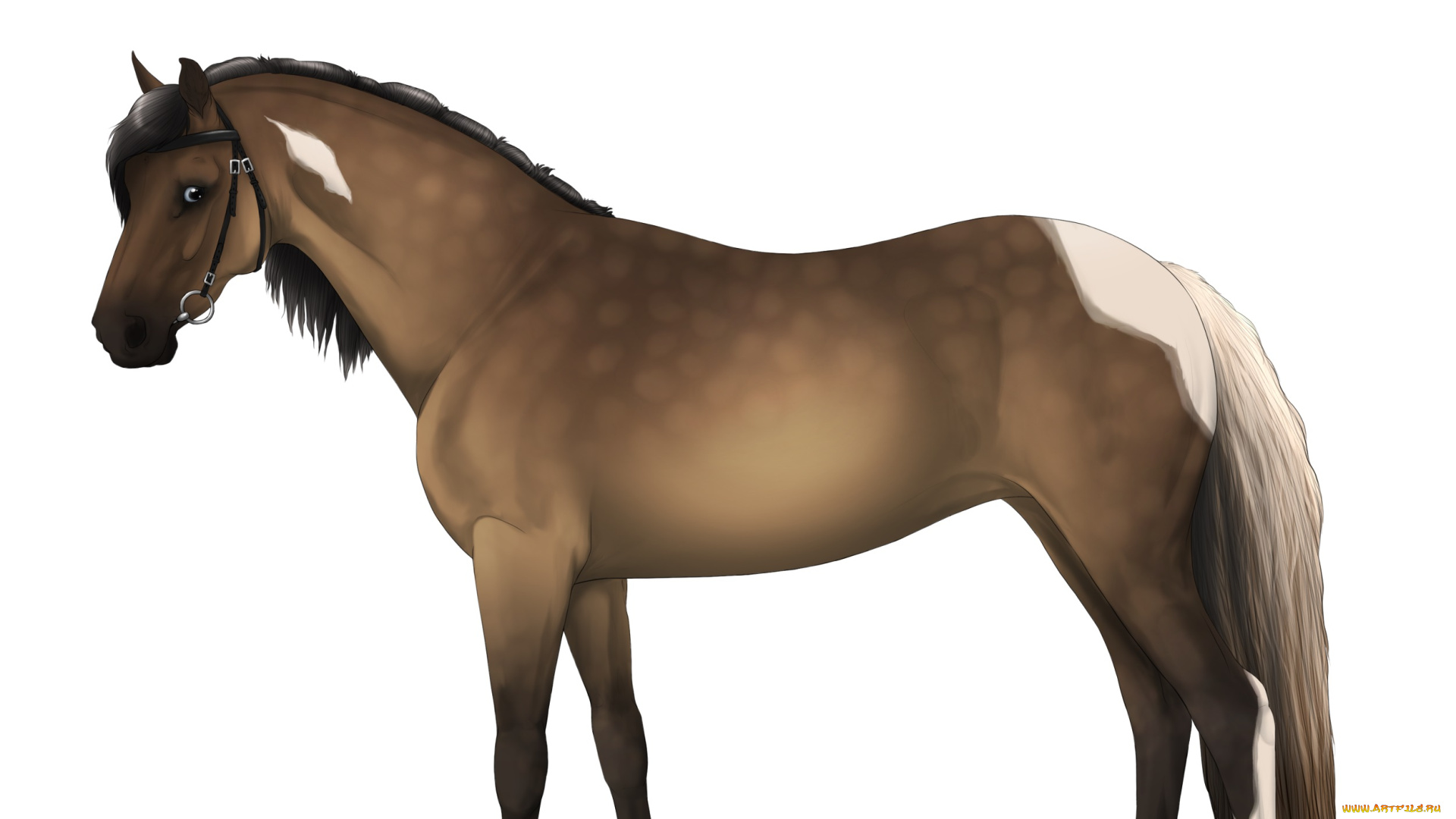 рисованные, животные, , лошади, лошадь