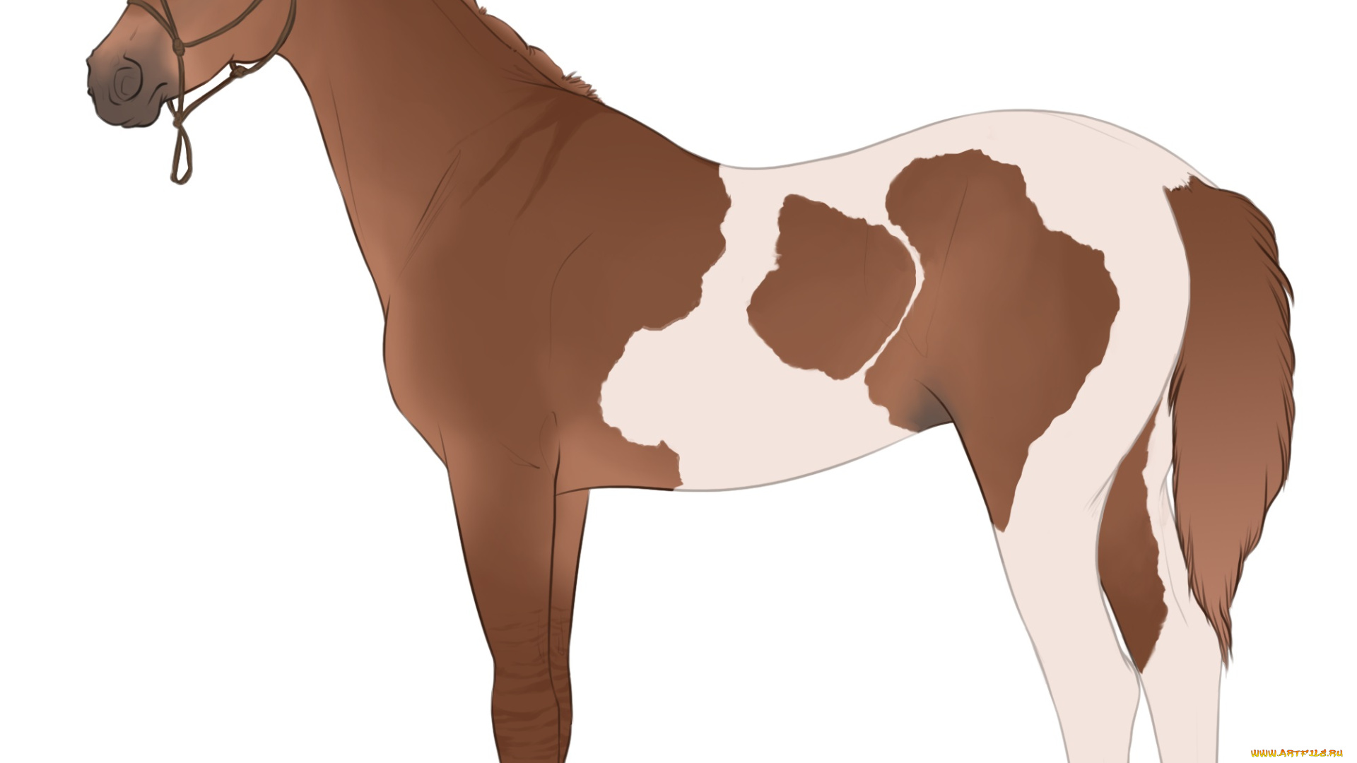 рисованные, животные, , лошади, лошадь