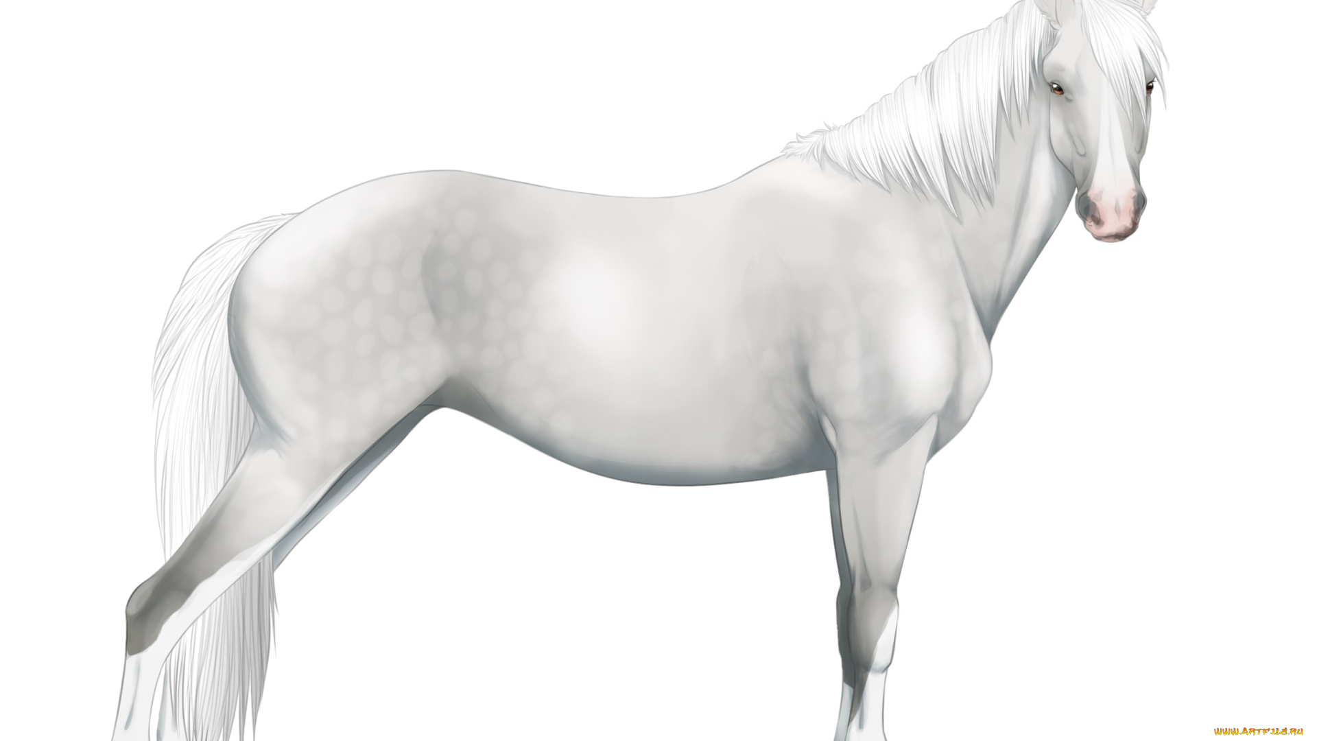 рисованные, животные, , лошади, лошадь