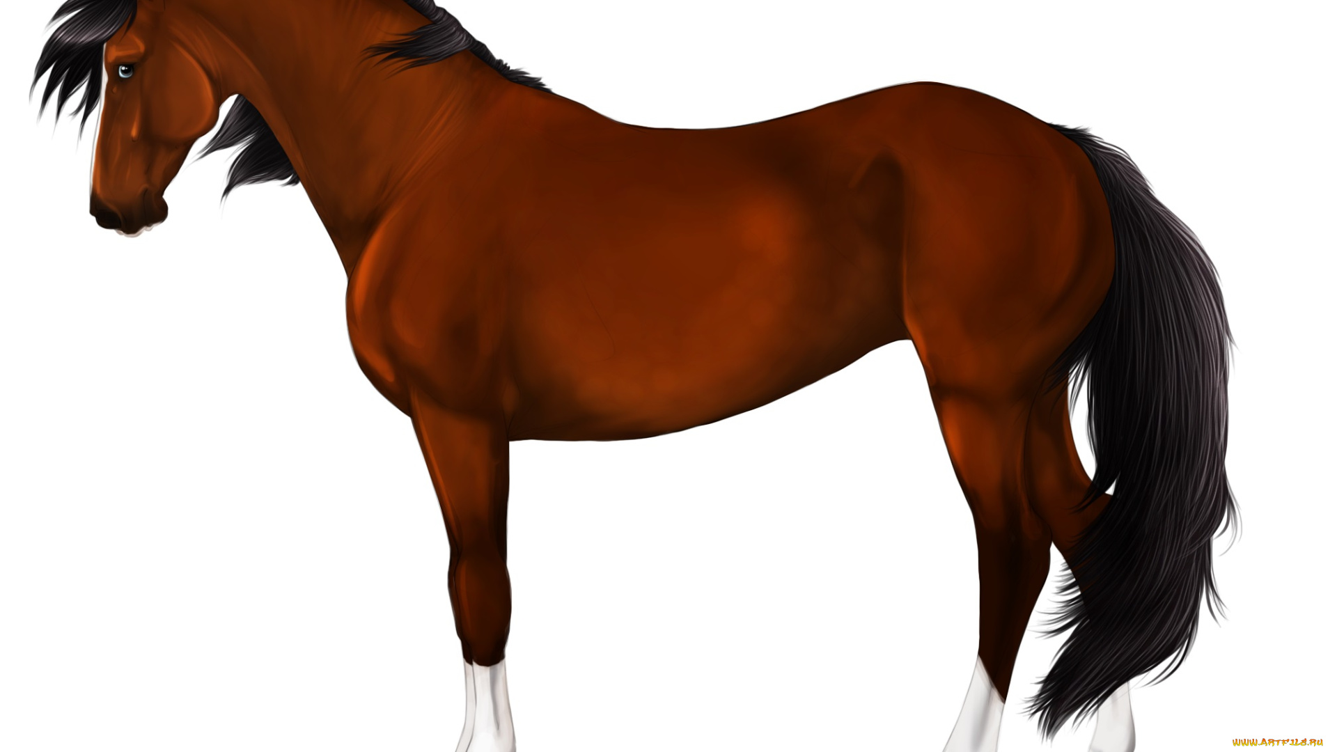 рисованные, животные, , лошади, лошадь