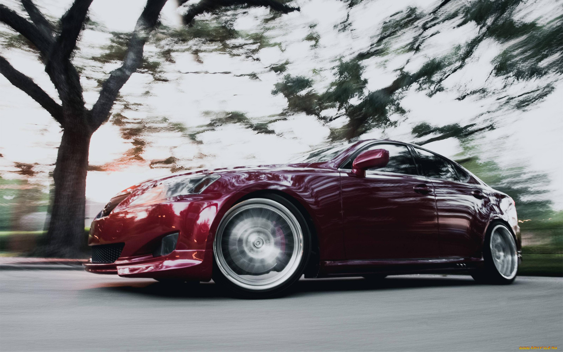 автомобили, lexus