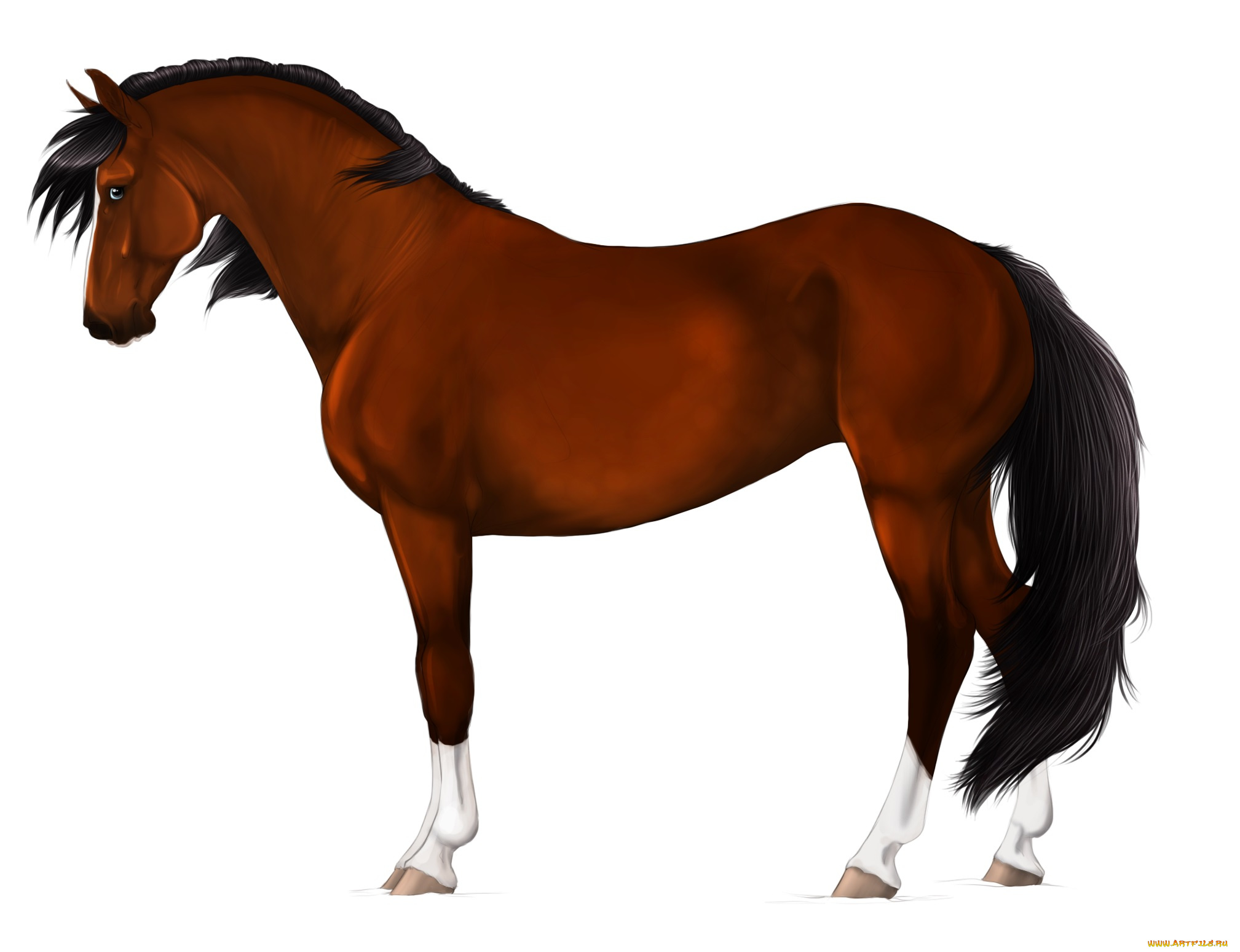 рисованные, животные, , лошади, лошадь