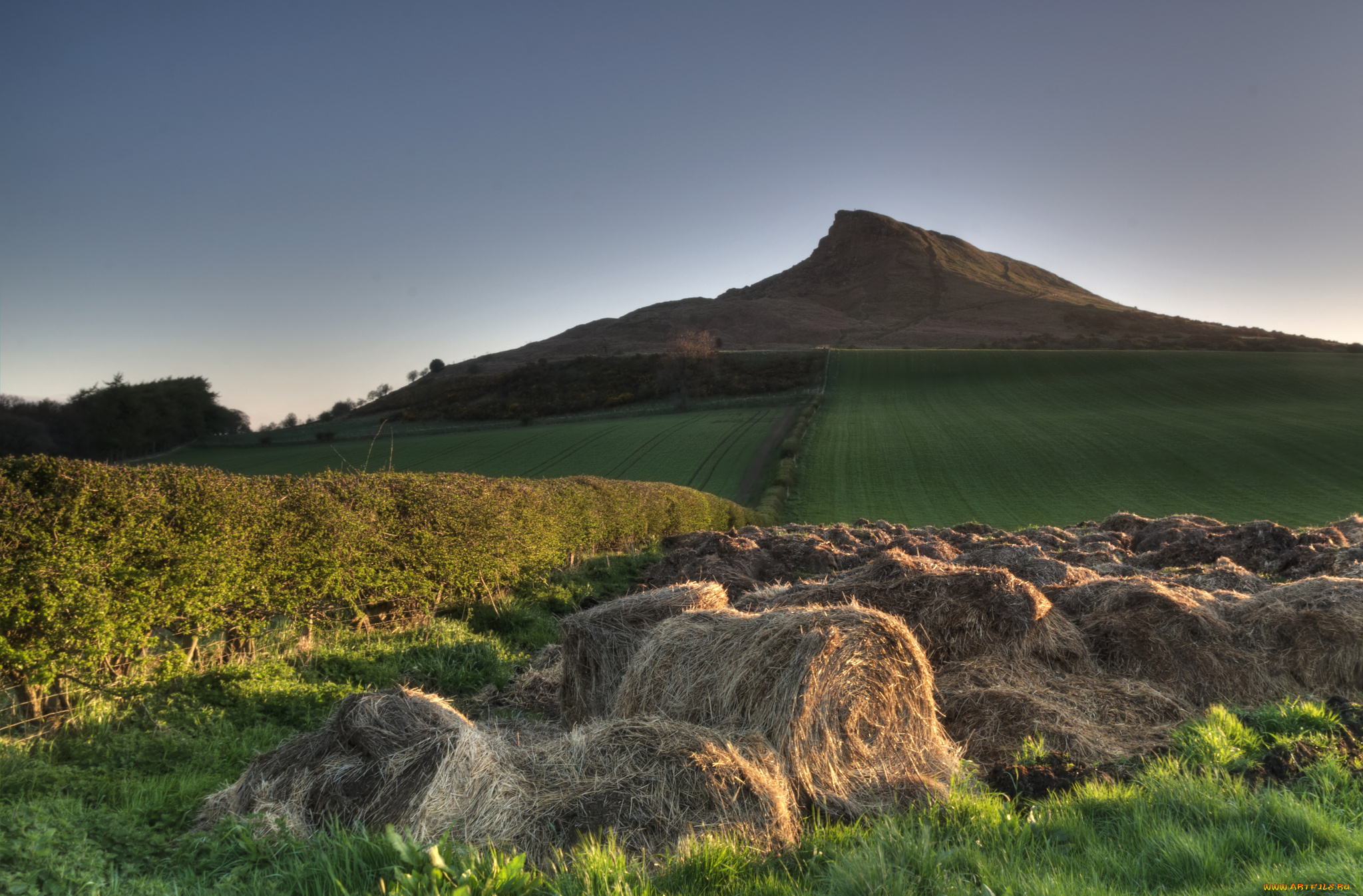 природа, поля, поле, сено, гора