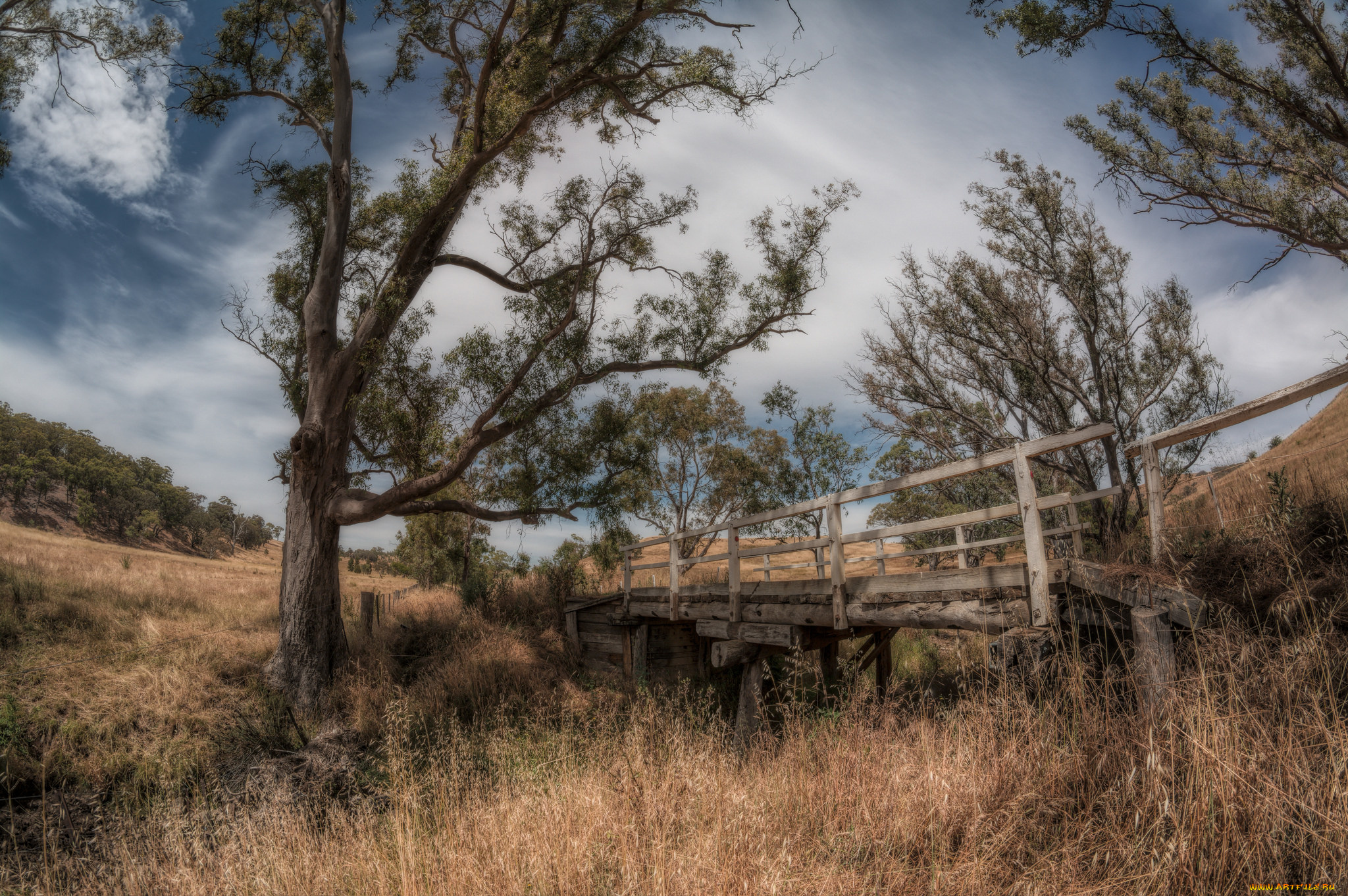 природа, пейзажи, поле, овраг, мостик, трава, деревья
