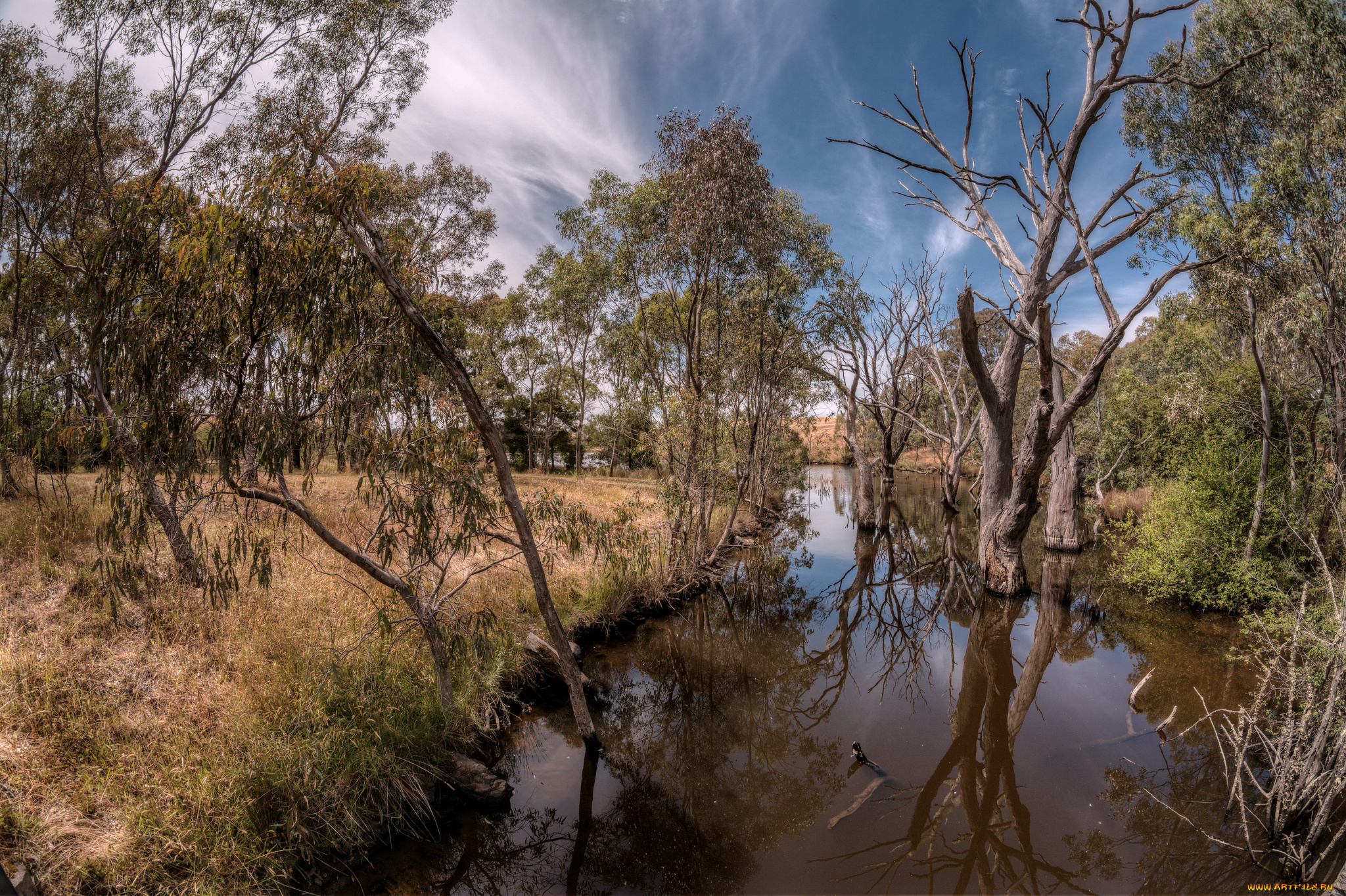 природа, реки, озера, река, деревья, трава