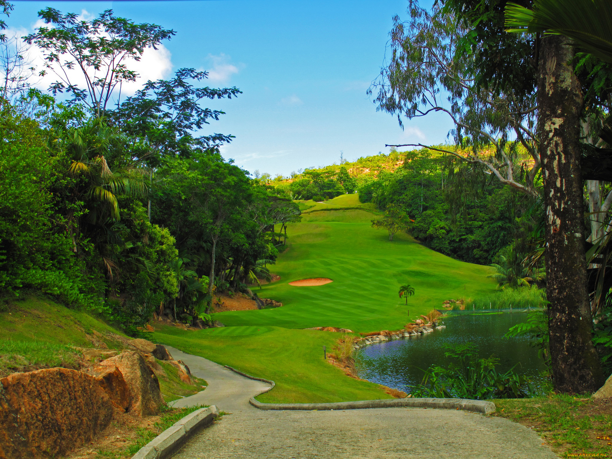 праслин, сейшелы, природа, парк, праслин, сейшелы, пейзаж, трава