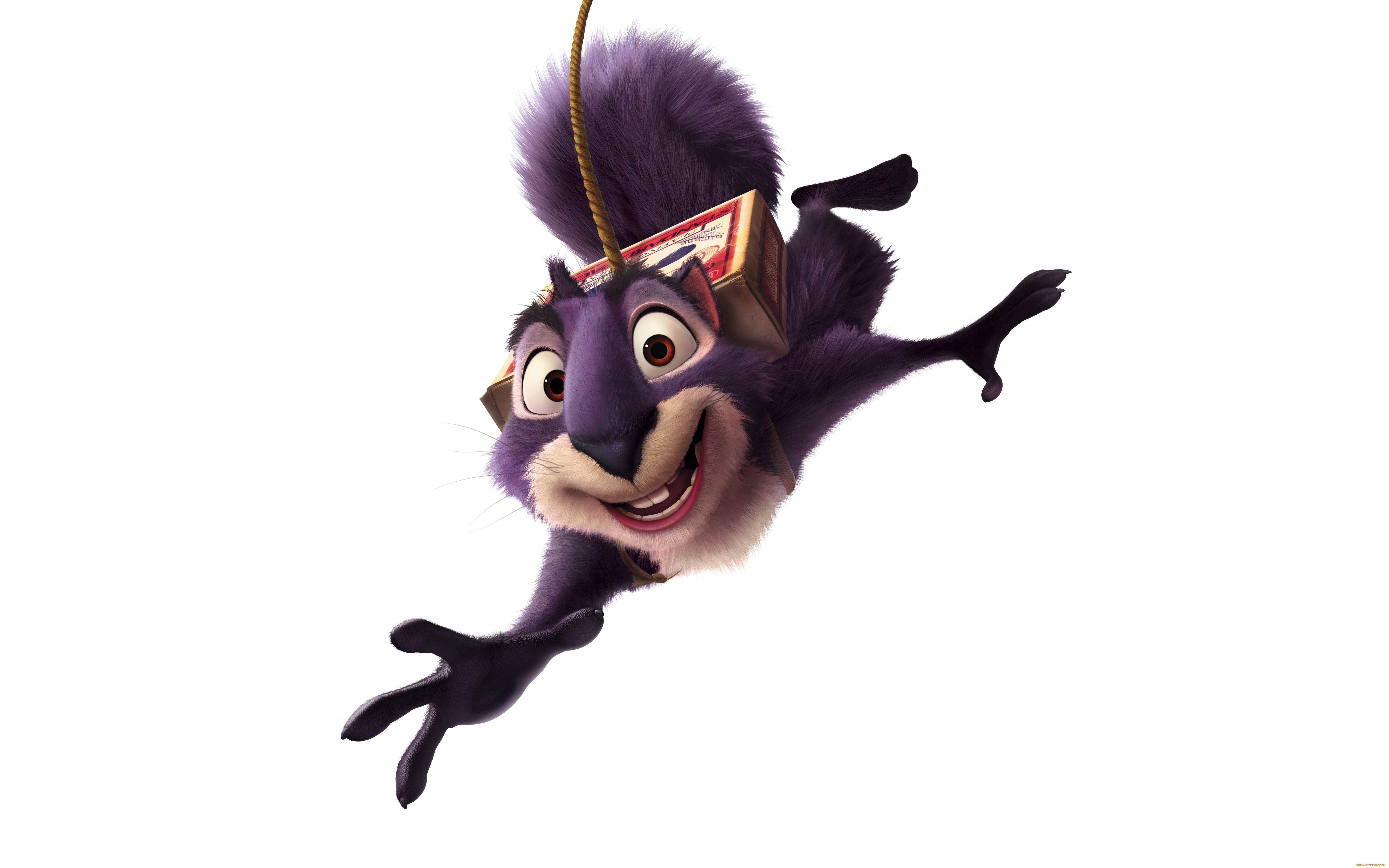 реальная, белка, мультфильмы, the, nut, job, the, nut, job, реальная, белка