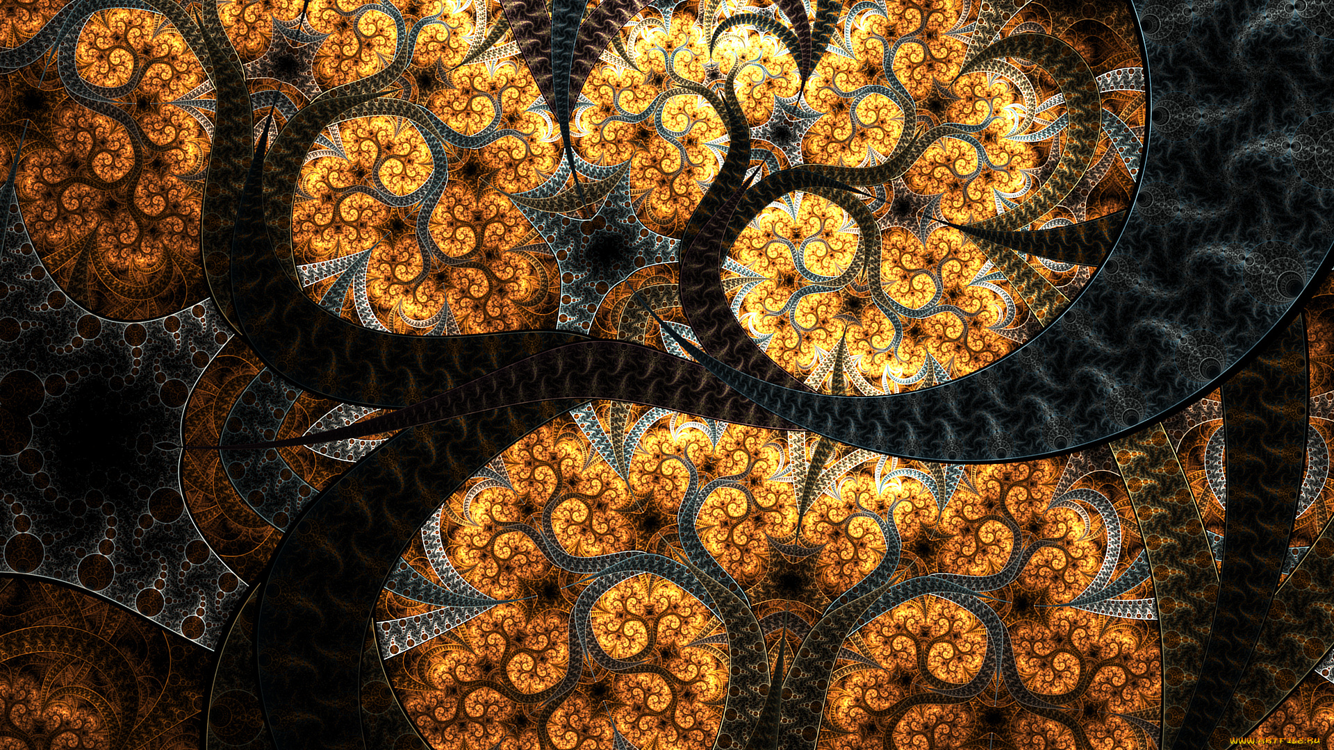 3д, графика, фракталы, , fractal, узор, фон, цвета