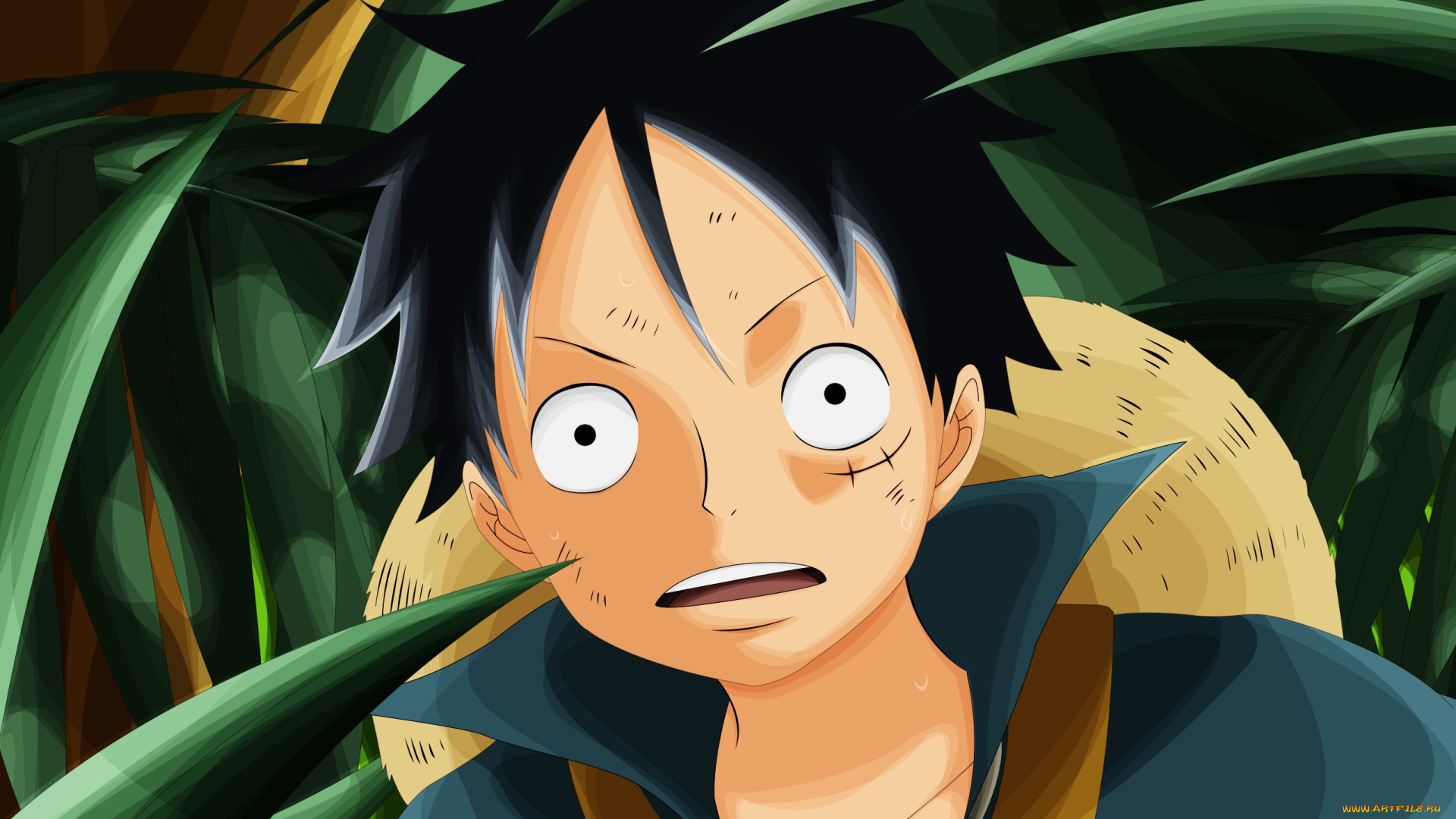 аниме, one, piece, взгляд, фон, парень