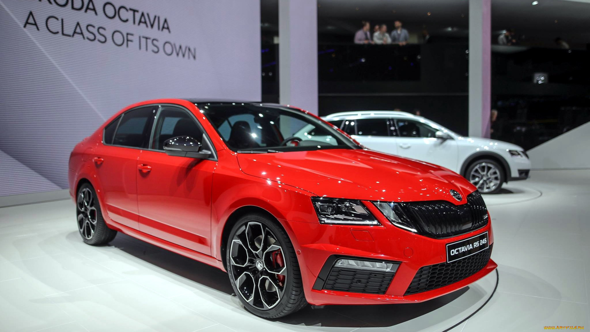 автомобили, выставки, и, уличные, фото, октавия, шкода