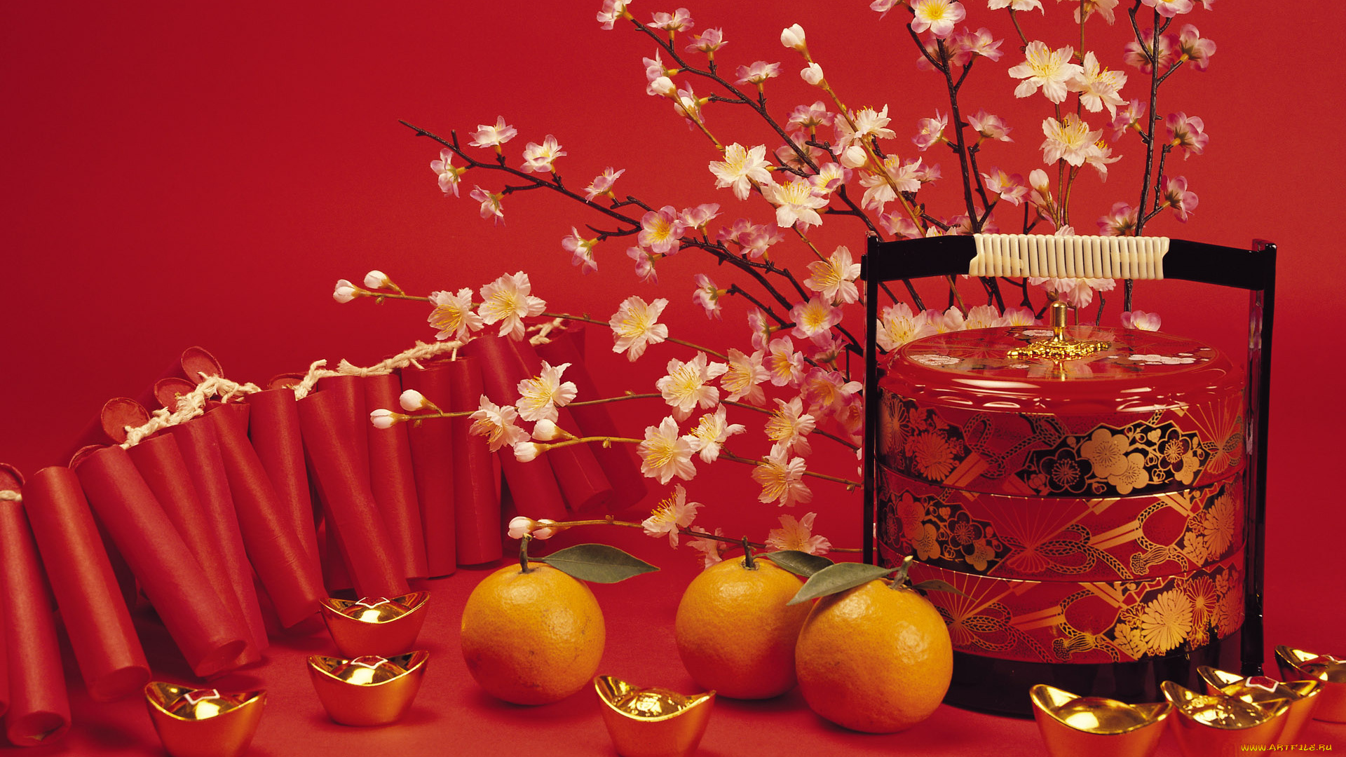 еда, цитрусы, цветы, ветка