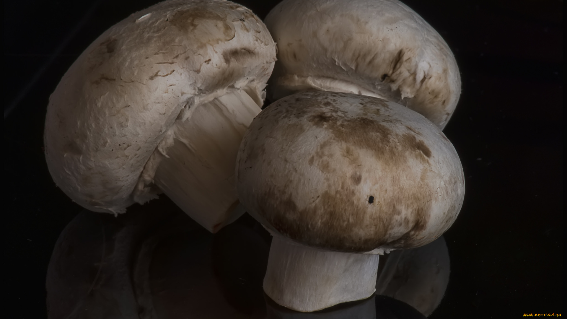 еда, грибы, , грибные, блюда, шампиньоны