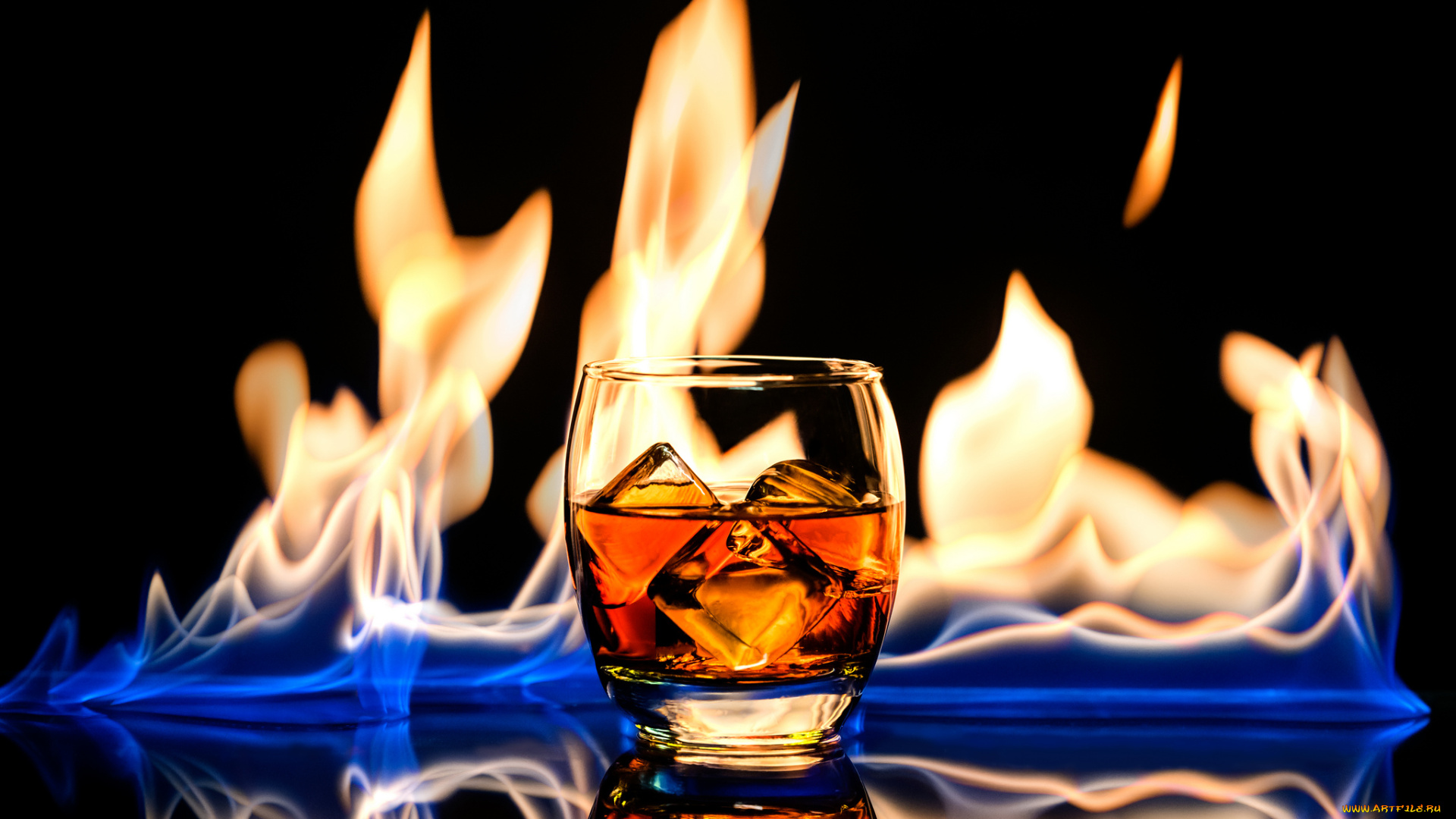 еда, напитки, алкоголь