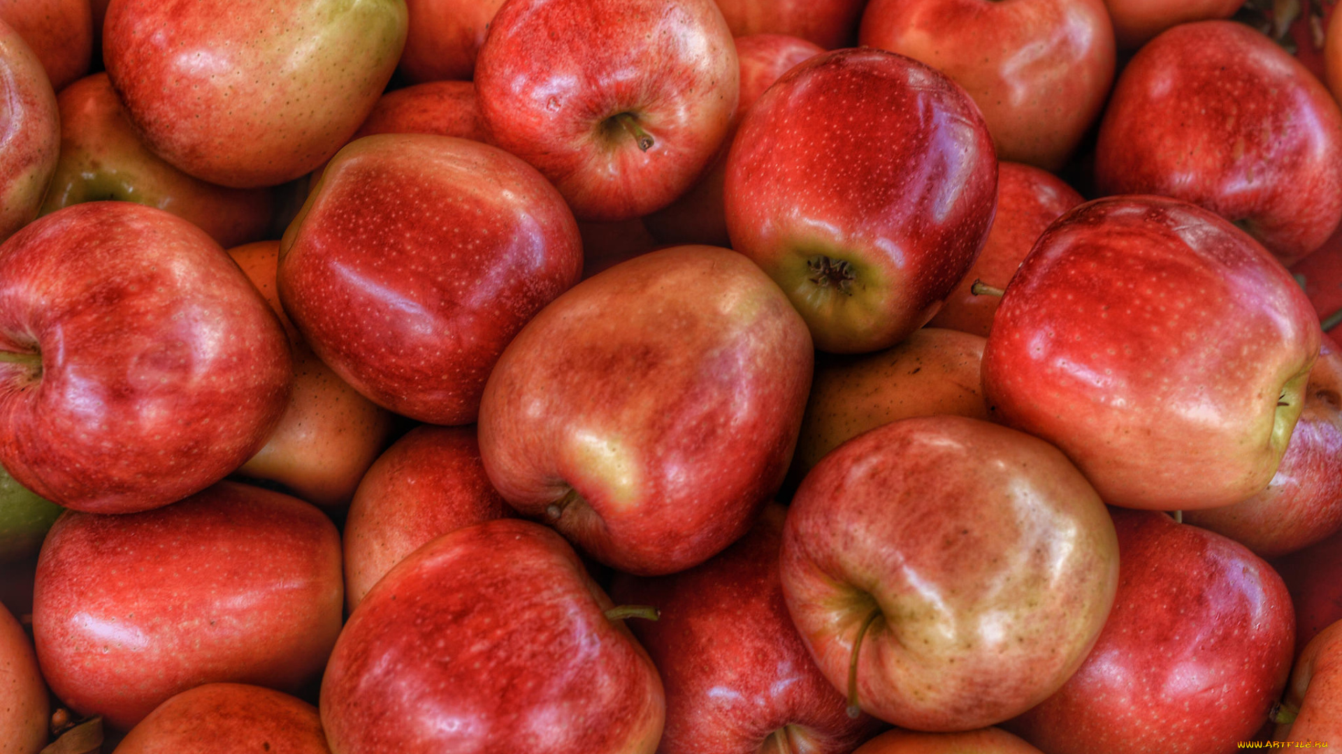 еда, Яблоки, плоды