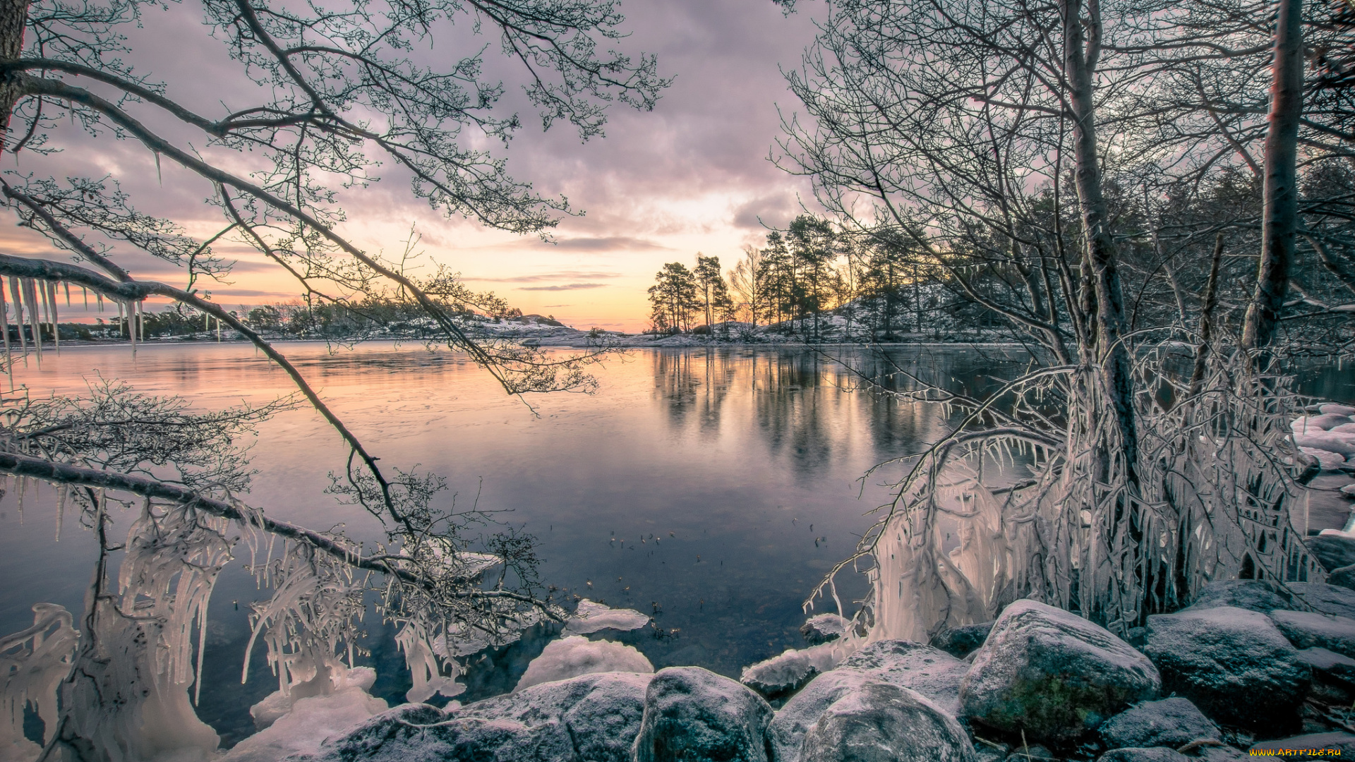природа, реки, озера, лес, река