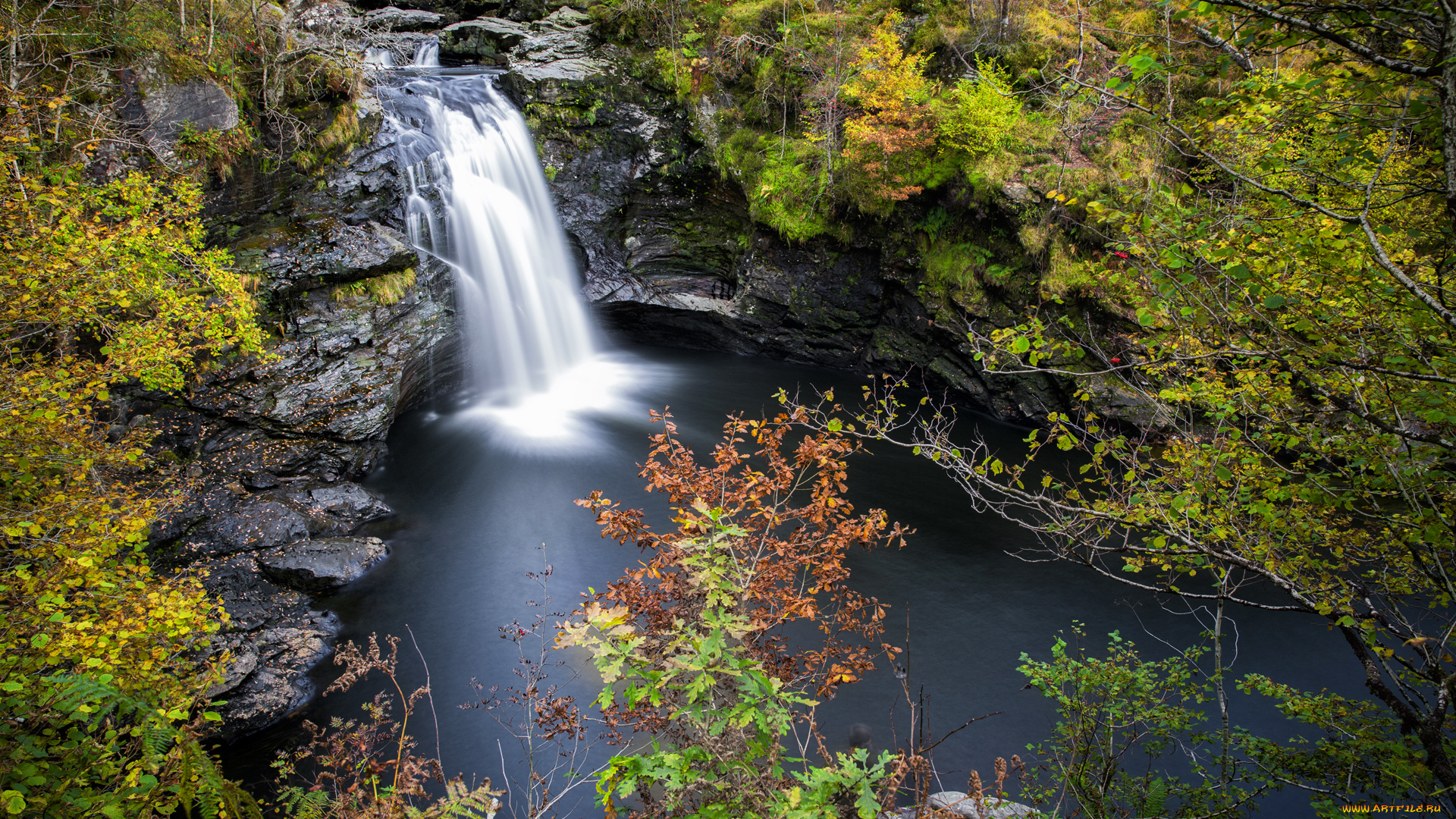 природа, водопады, река, водопад, лес