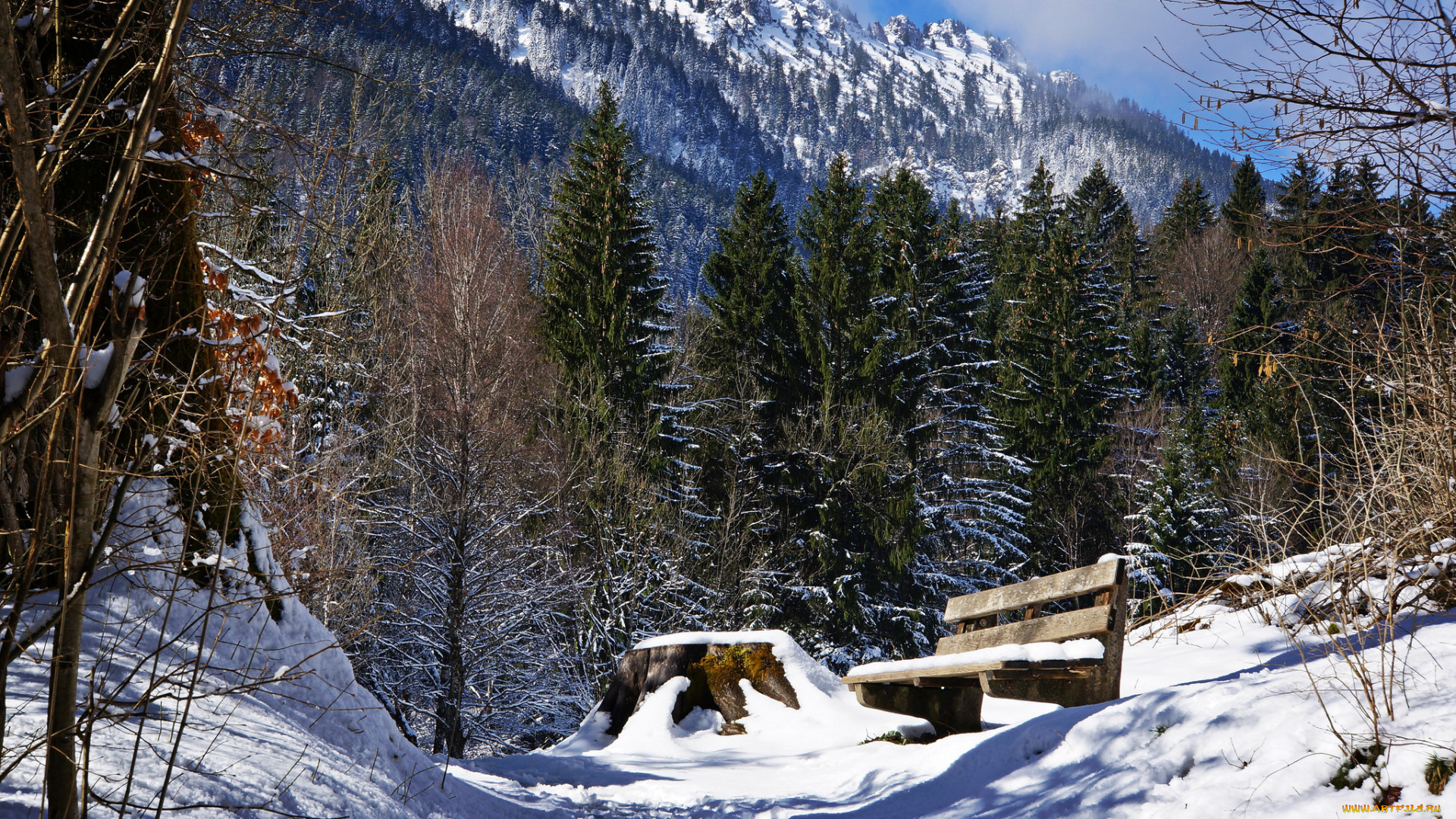 природа, зима, снег