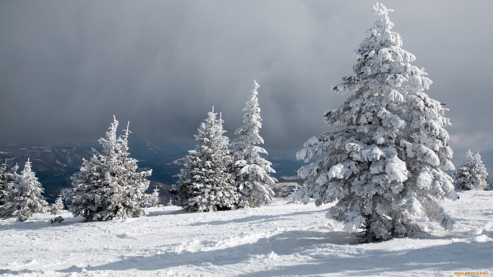 природа, зима, снег